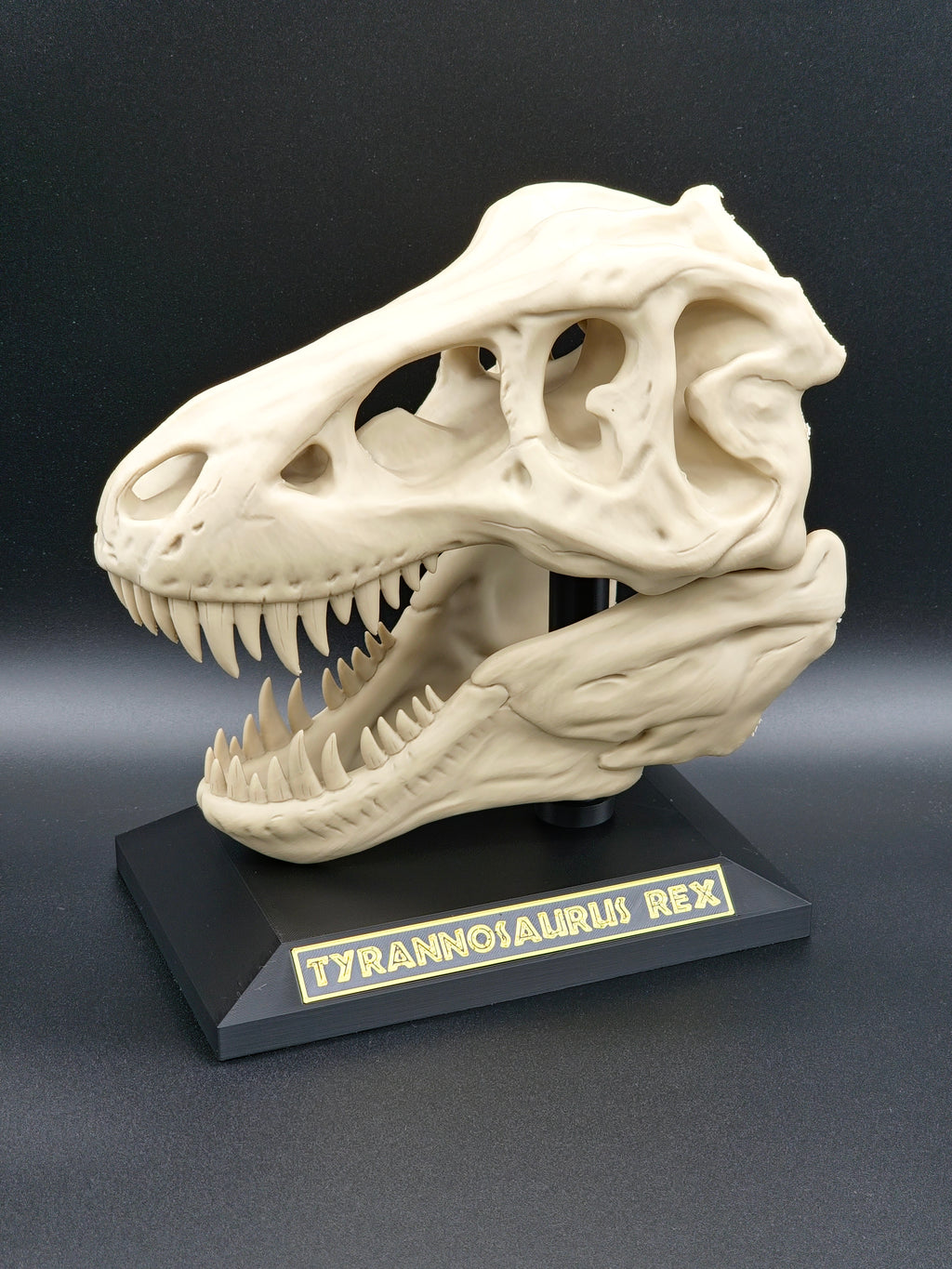 T-Rex Skull