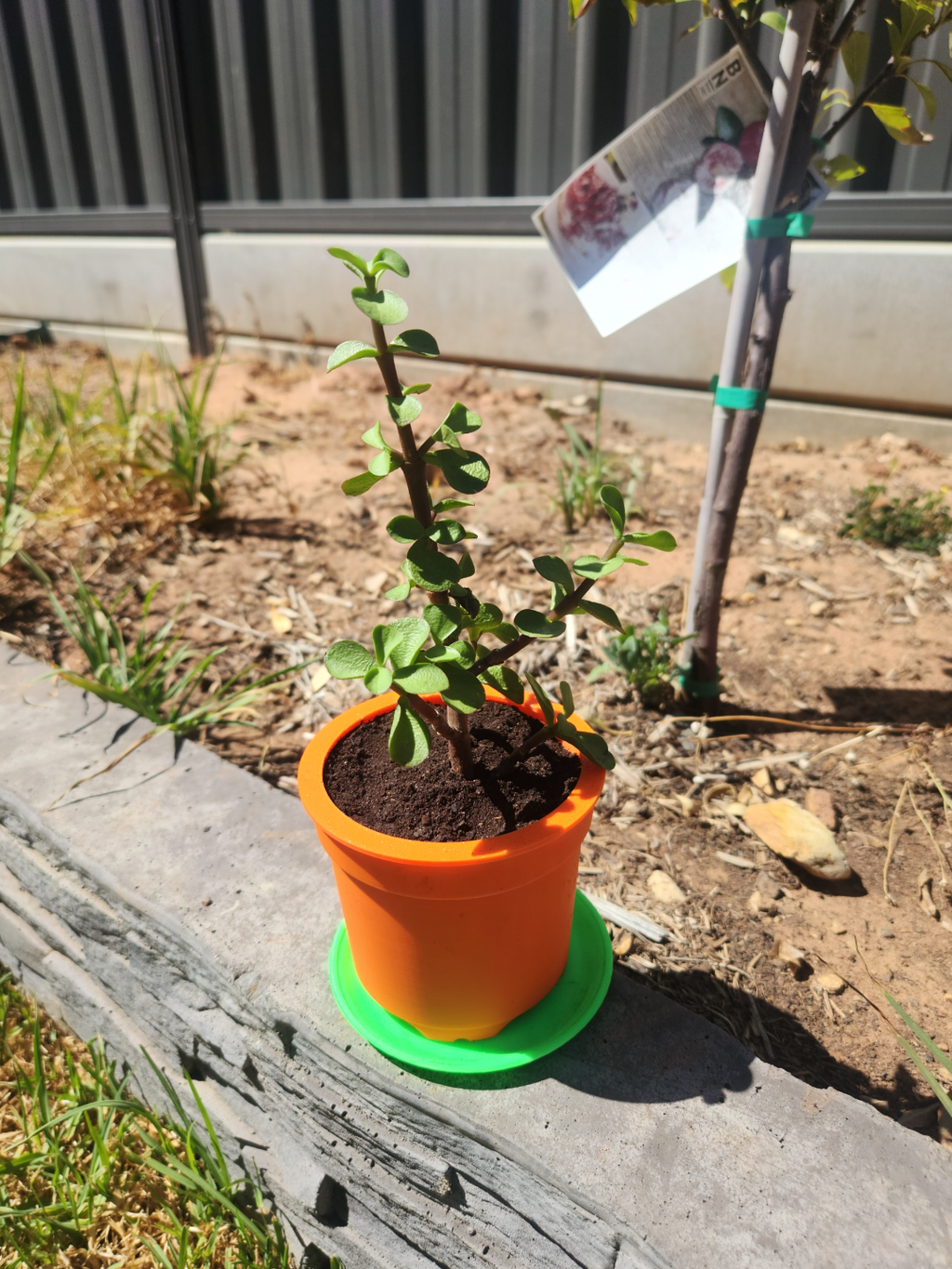 Small Plant Pot with Saucer