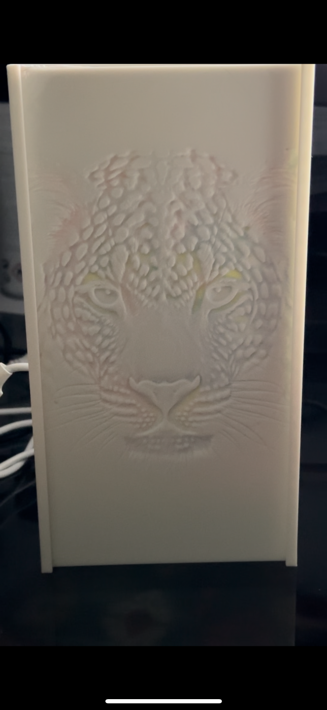 Leopard color lithophane 0.2 nozzle