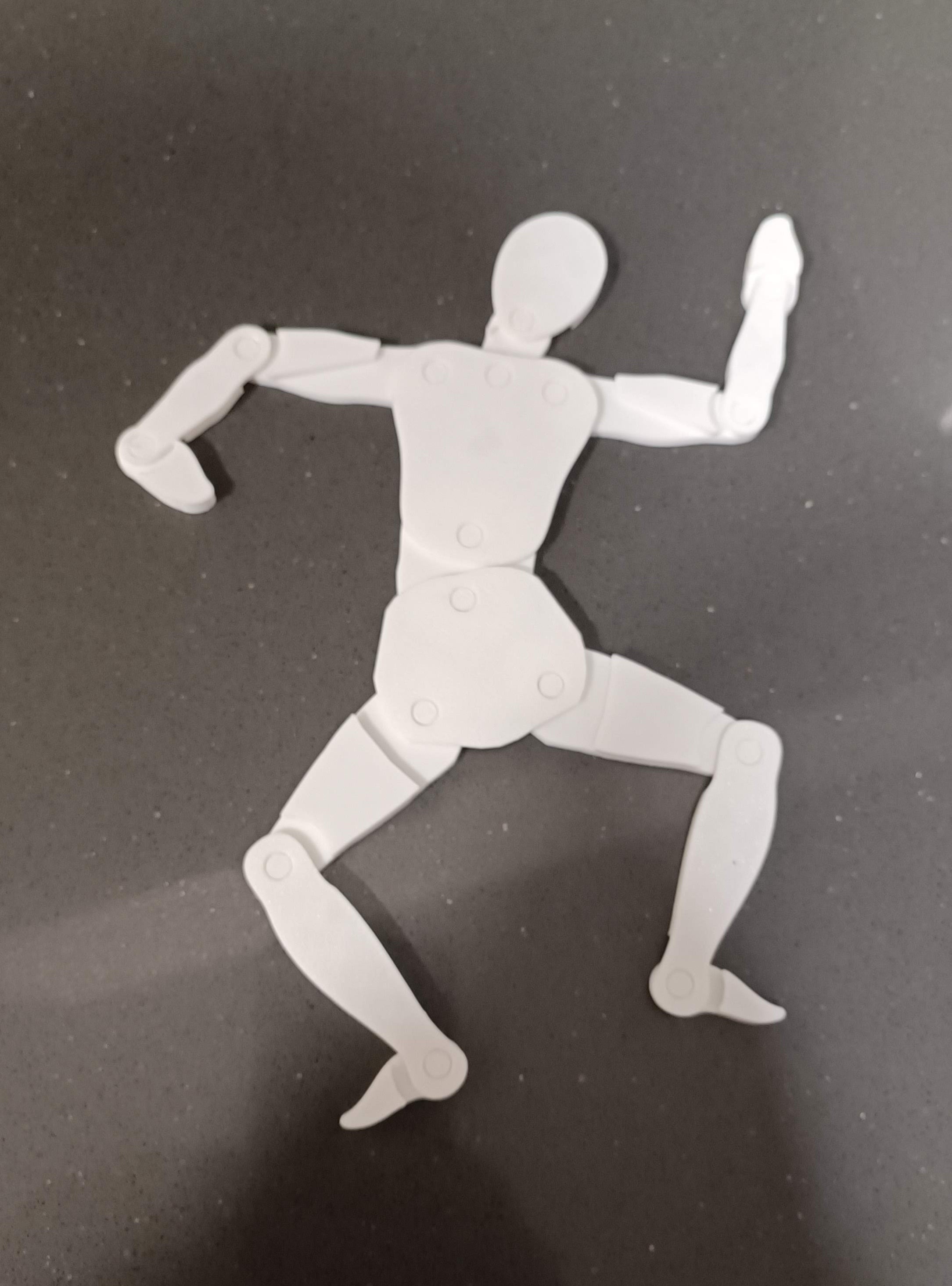 Maniquí articulado de cuerpo humano