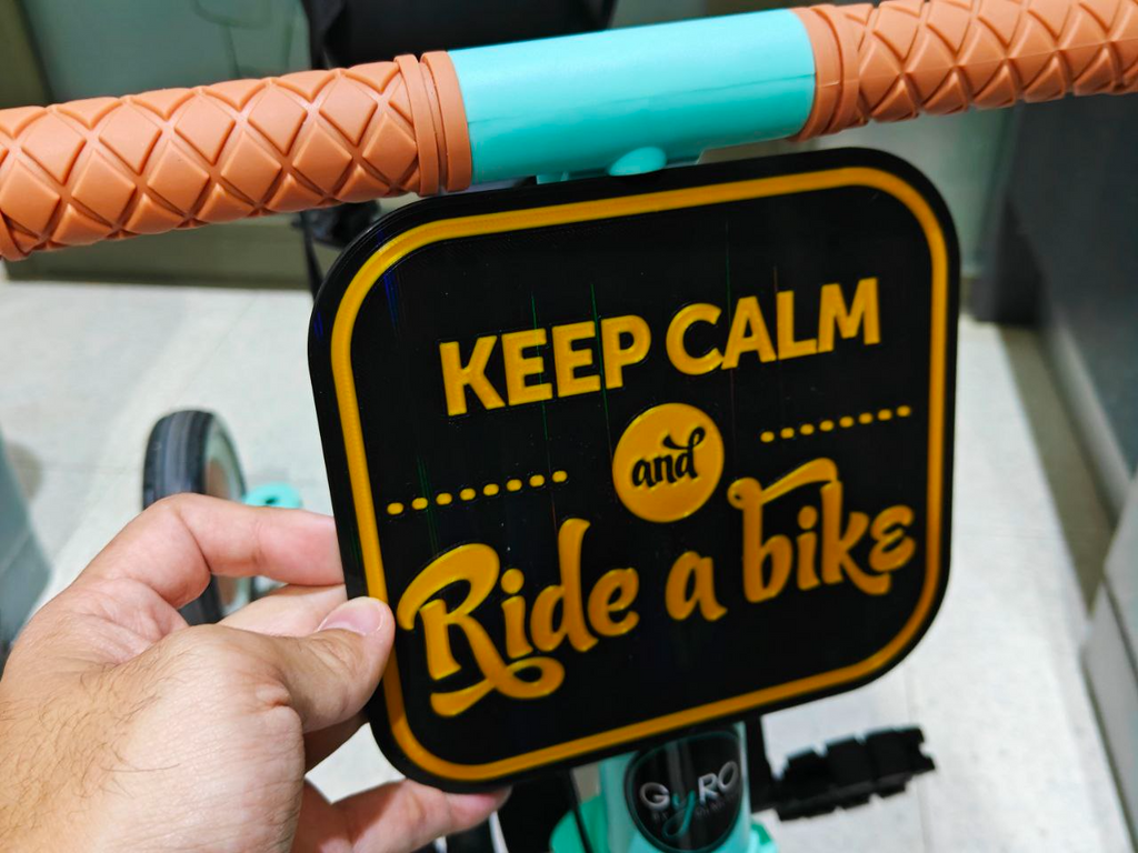 Tricycle Bike Plate / Matricula Bici Triciclo