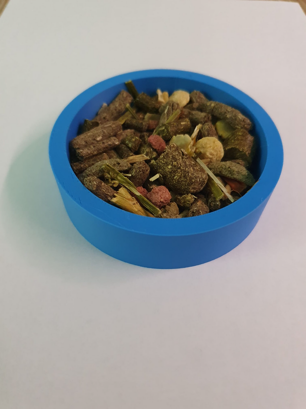 guinea pig bowl