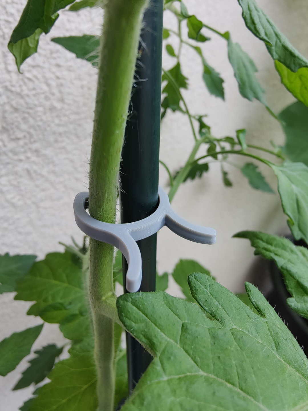 Vegetable Clip