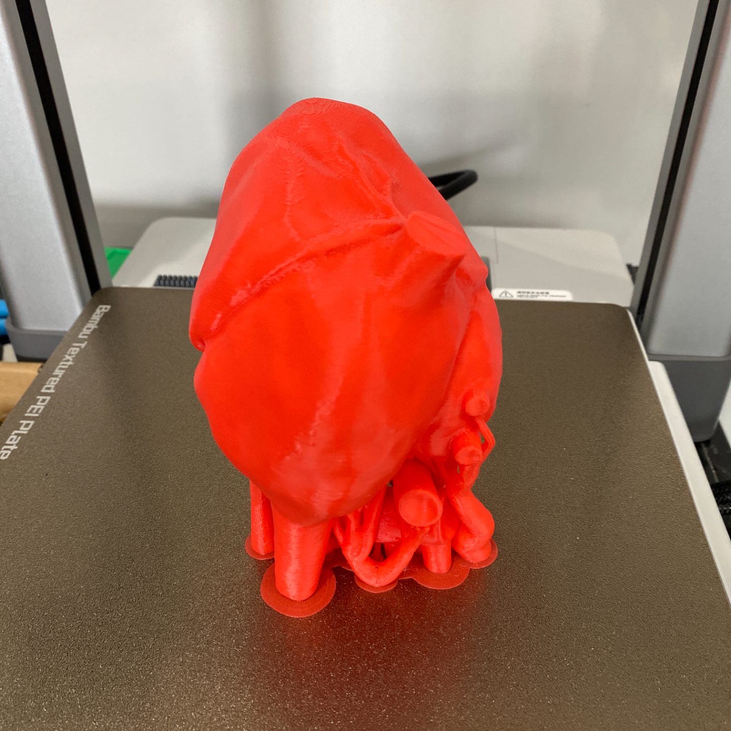 Anatomically Accurate Heart - Solid Model