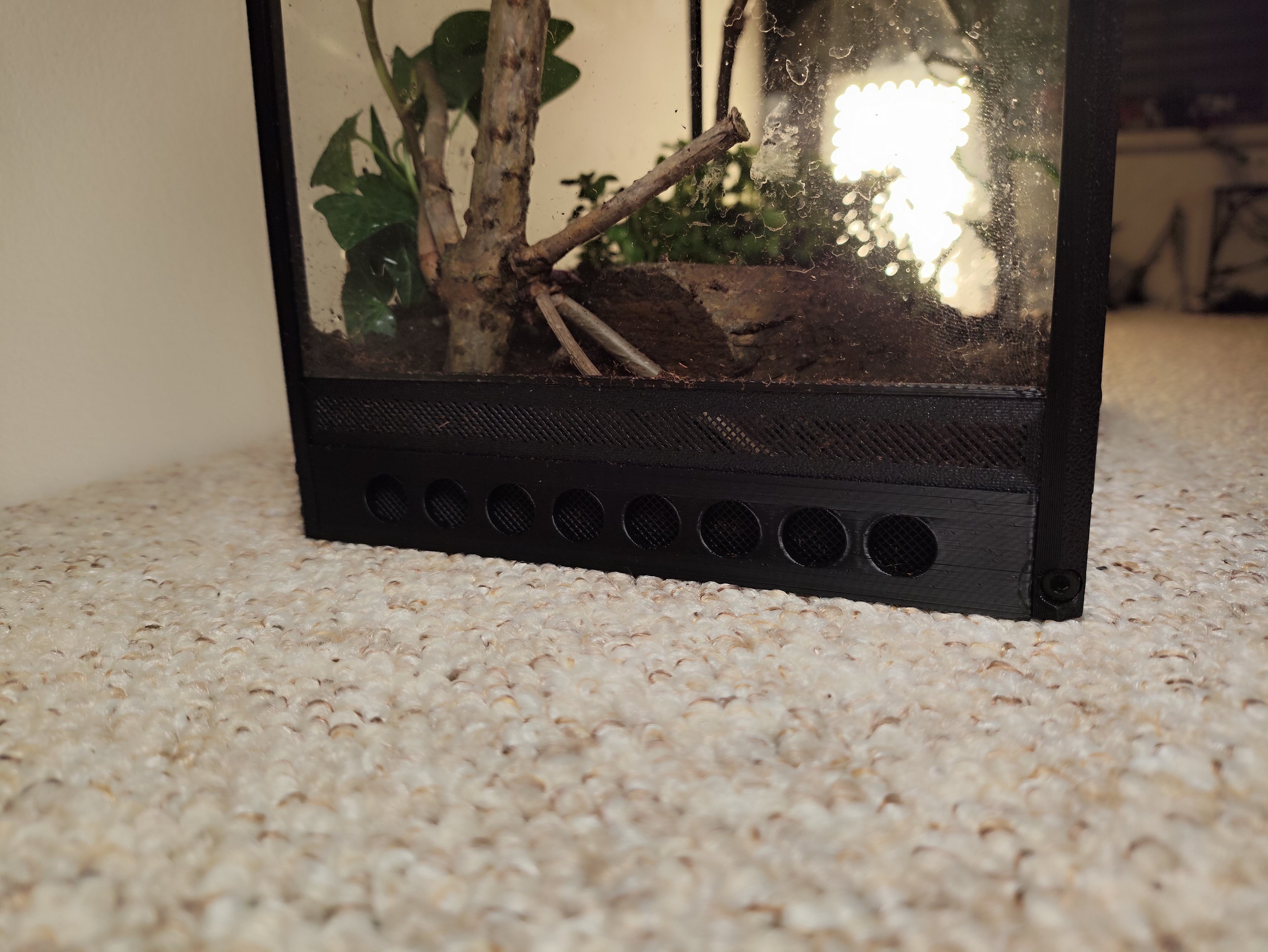 Terarrium 32 × 25 × 15 cm - Insectarium