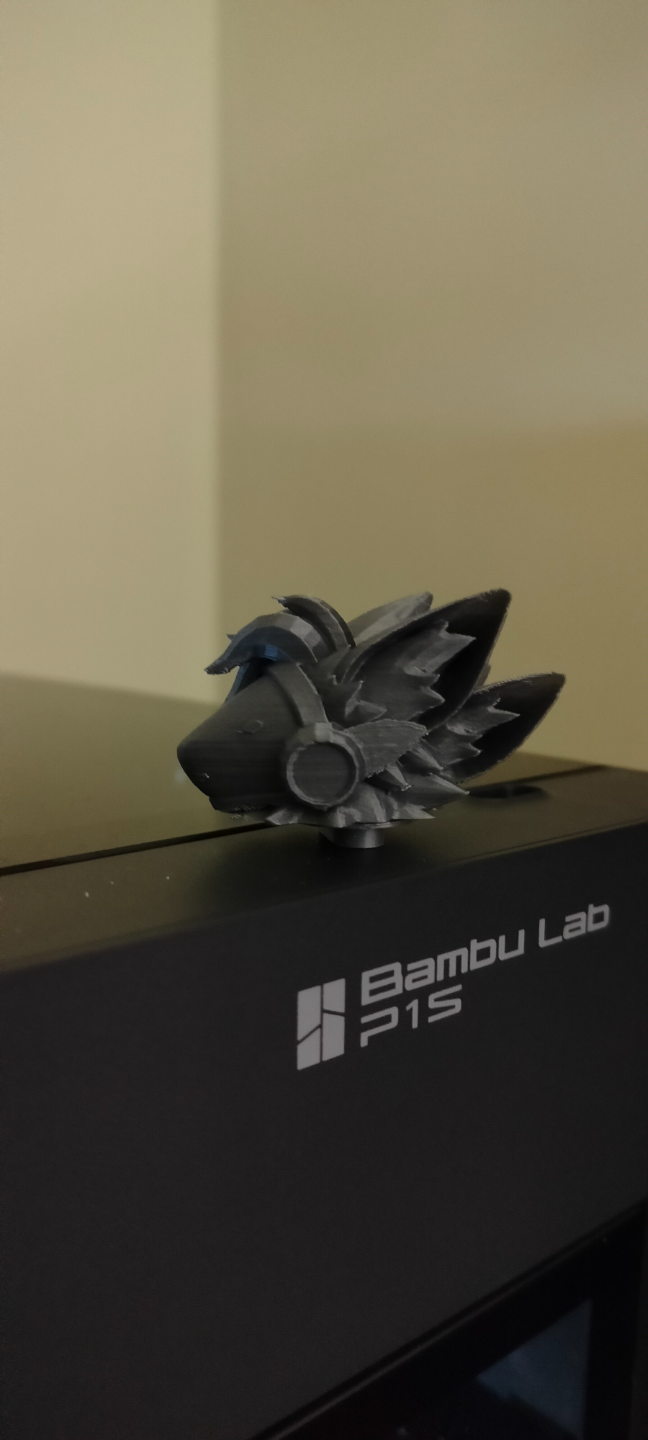 Protogen Case Plug