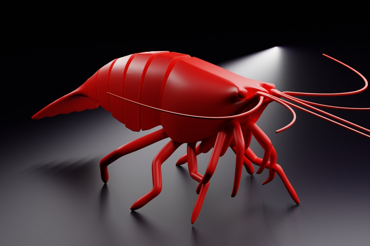 Articulated Shrimp