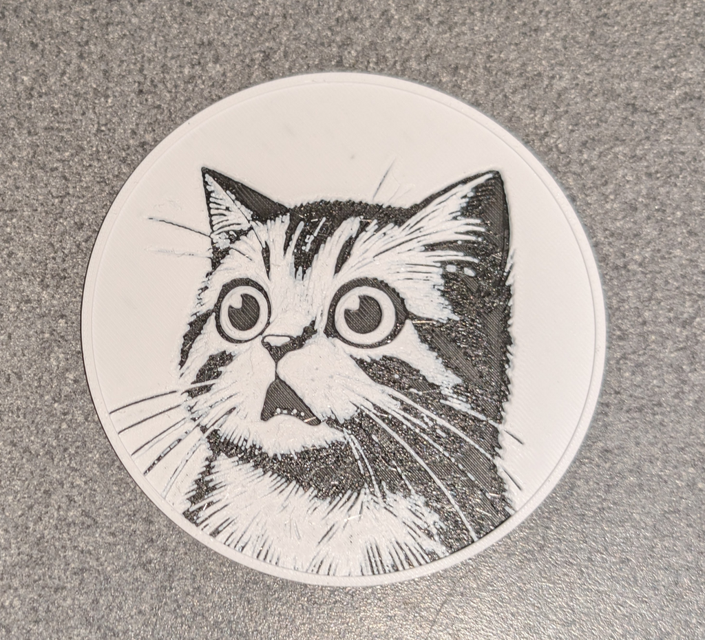Shocked Cat Coaster