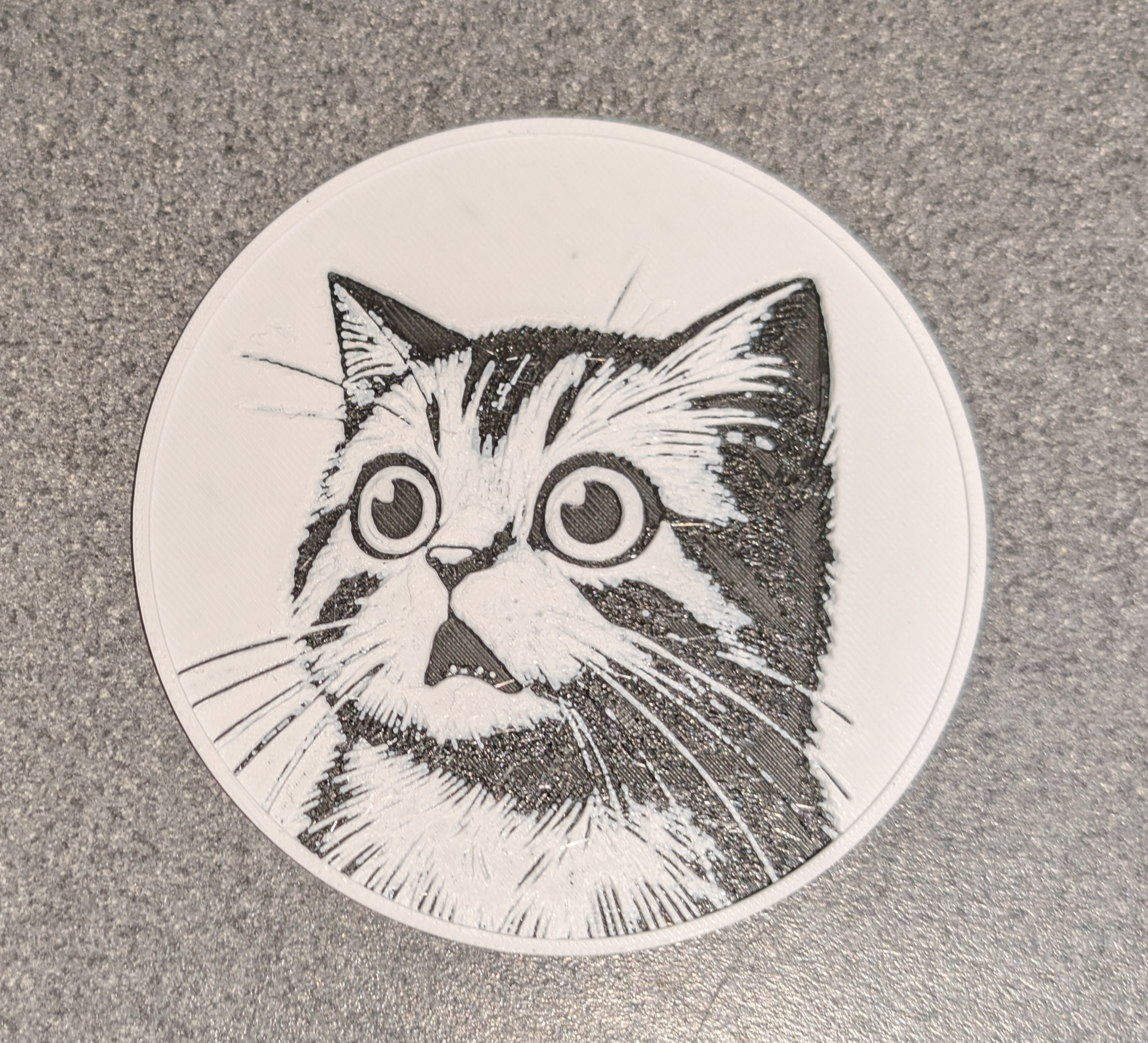 Shocked Cat Coaster