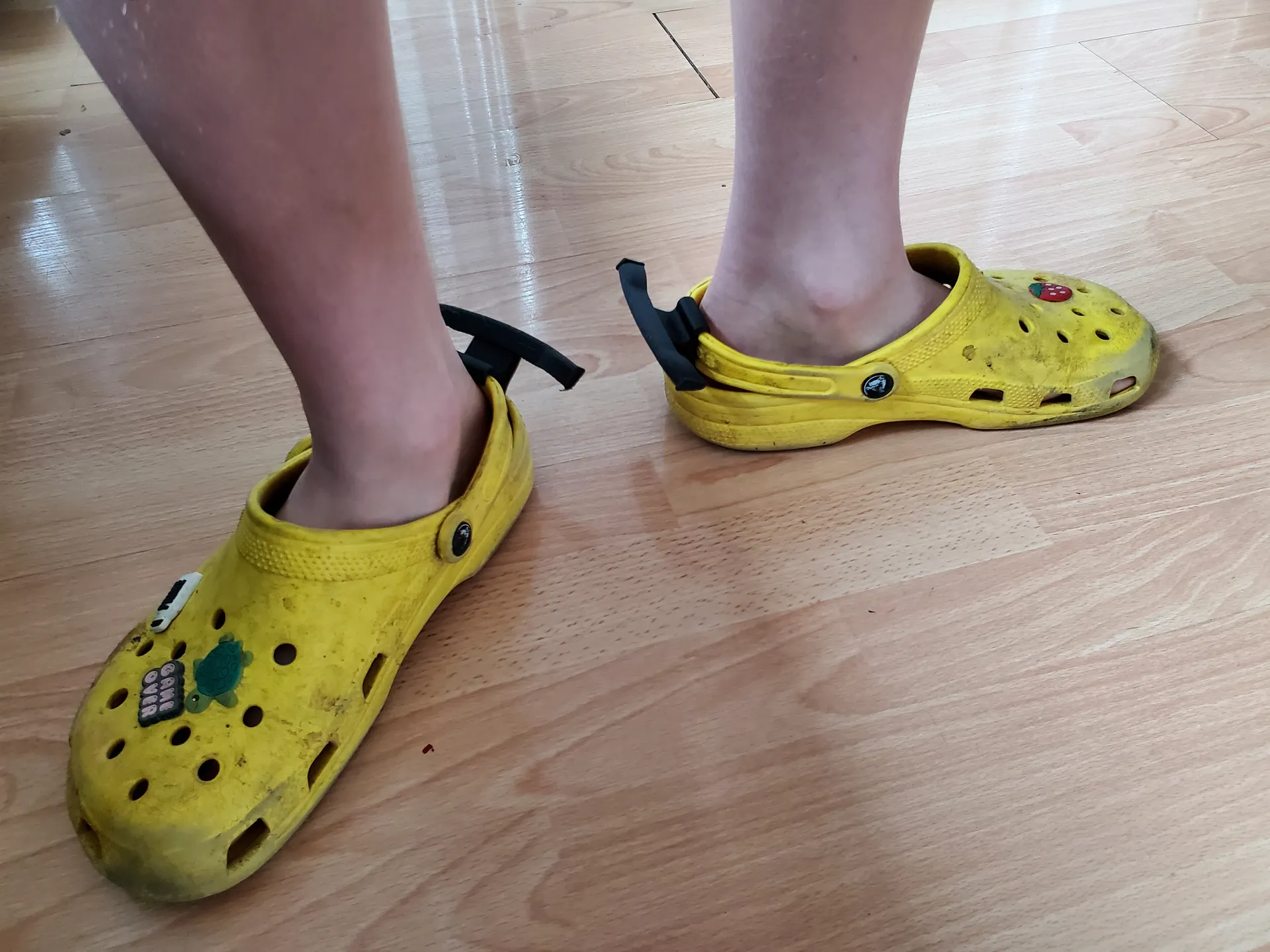 croc spoiler