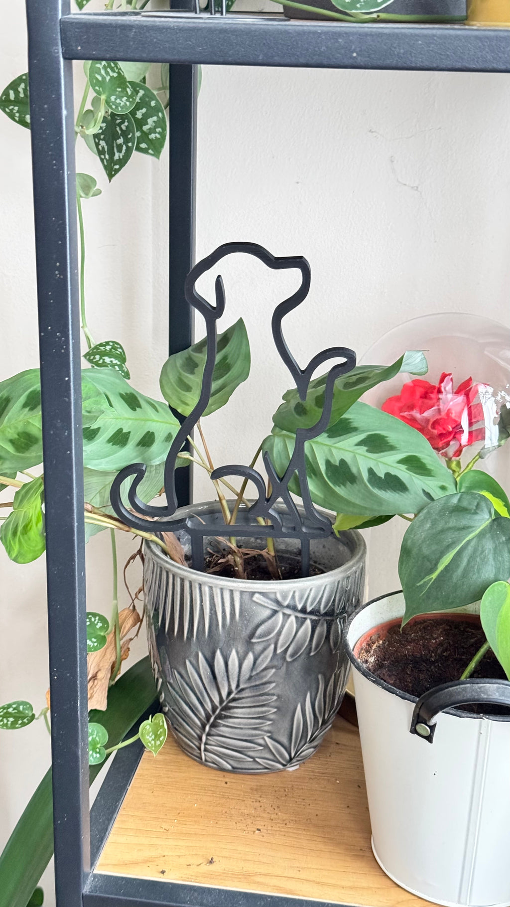 Plant trellis, support, Dog theme