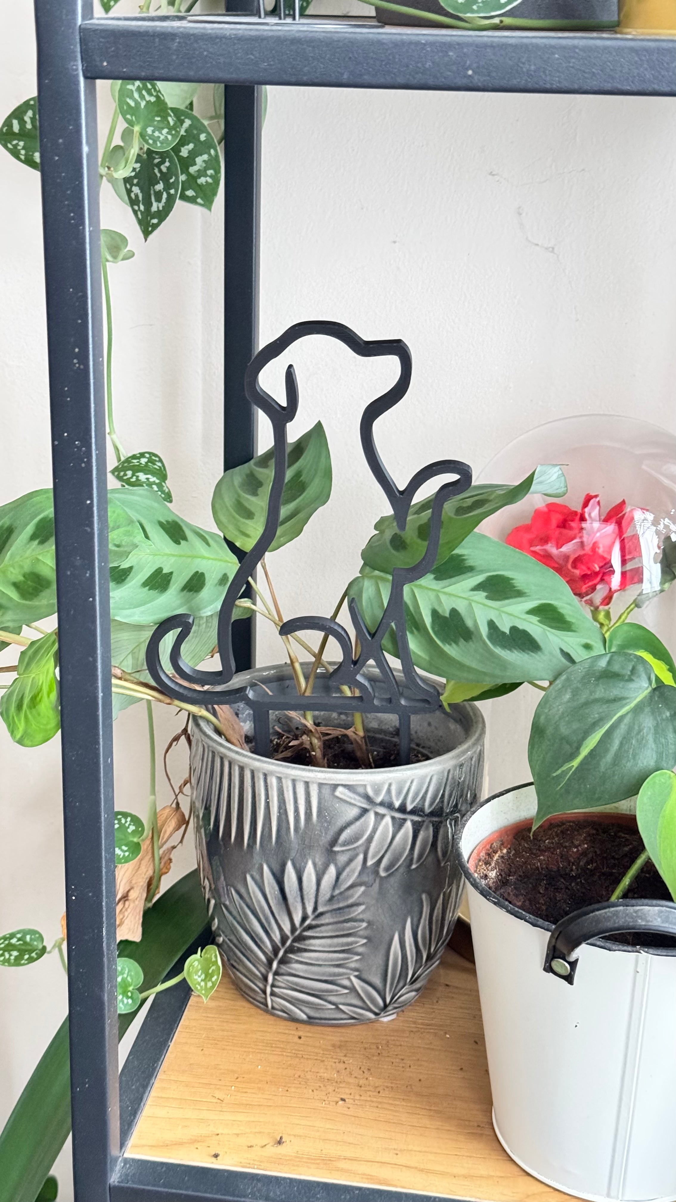 Plant trellis, support, Dog theme