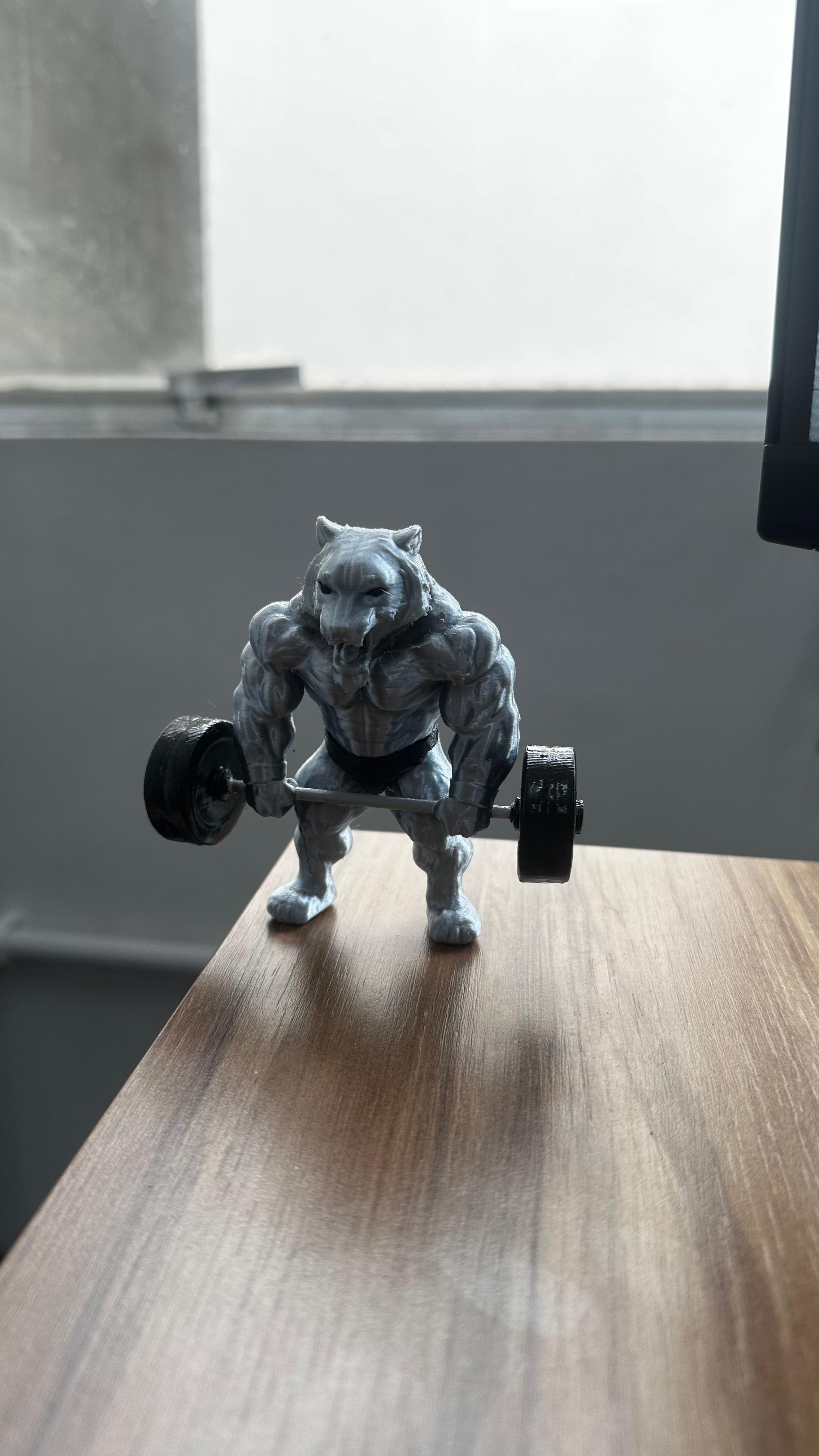 Miniatura 3D tigre musculoso halteres academia