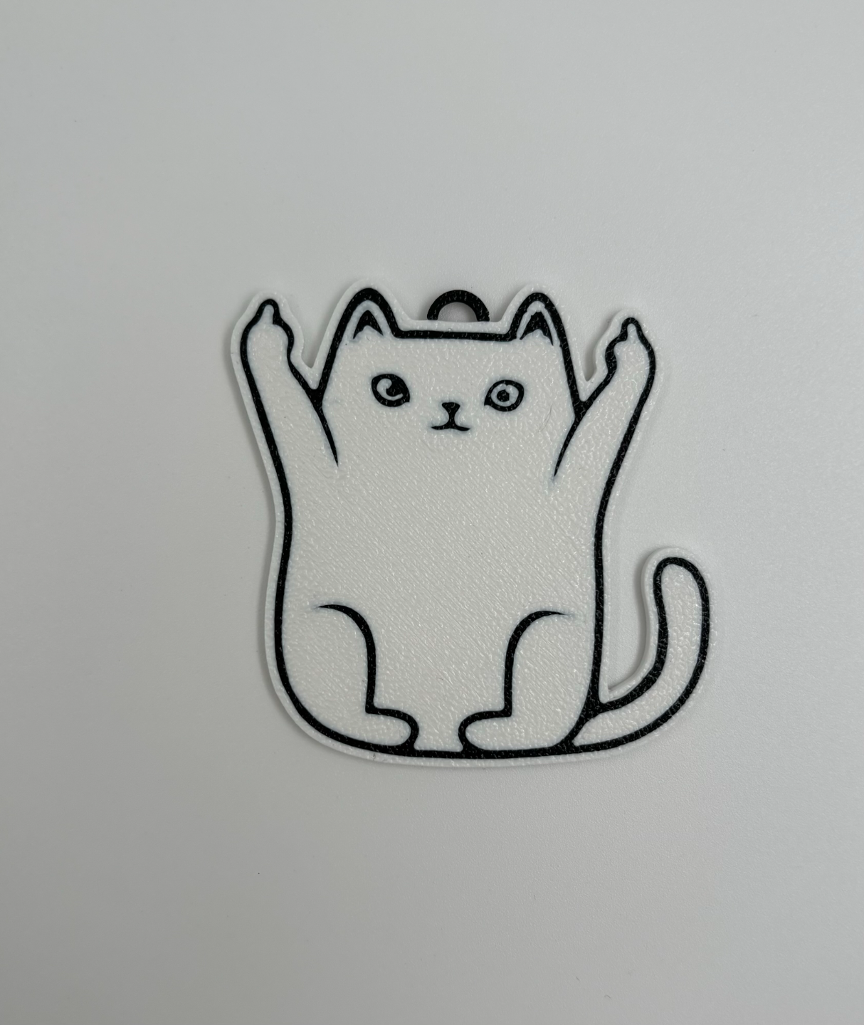cat keychain