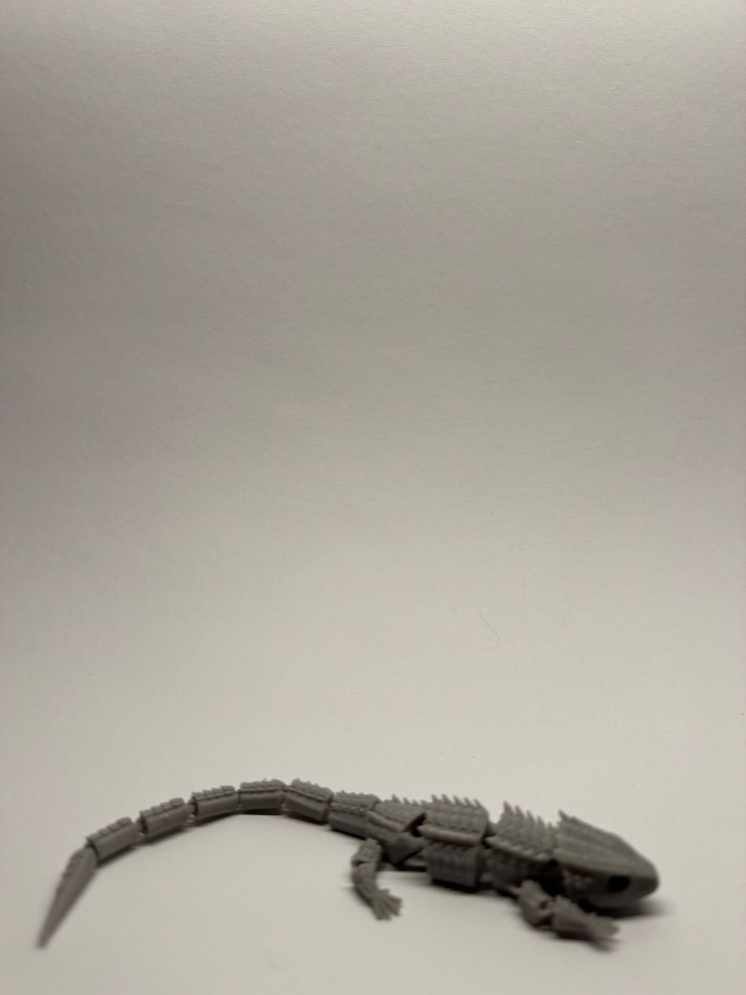 Articulated Lizard
