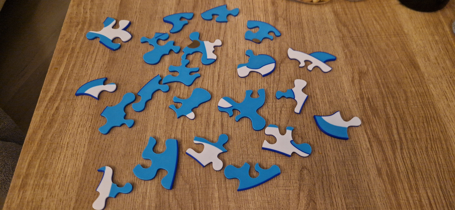 Dolphin Puzzle 21pc