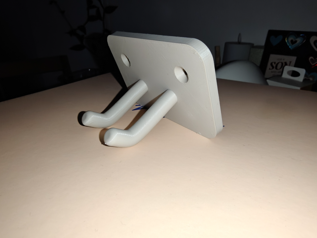 Dual Pronged Wall Hanger