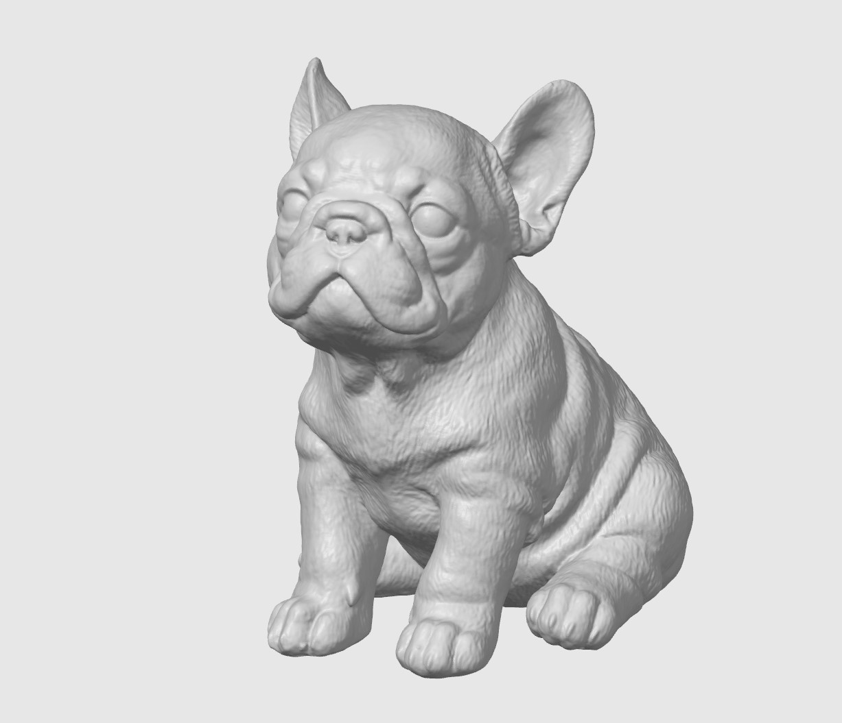 Französische Bulldogge