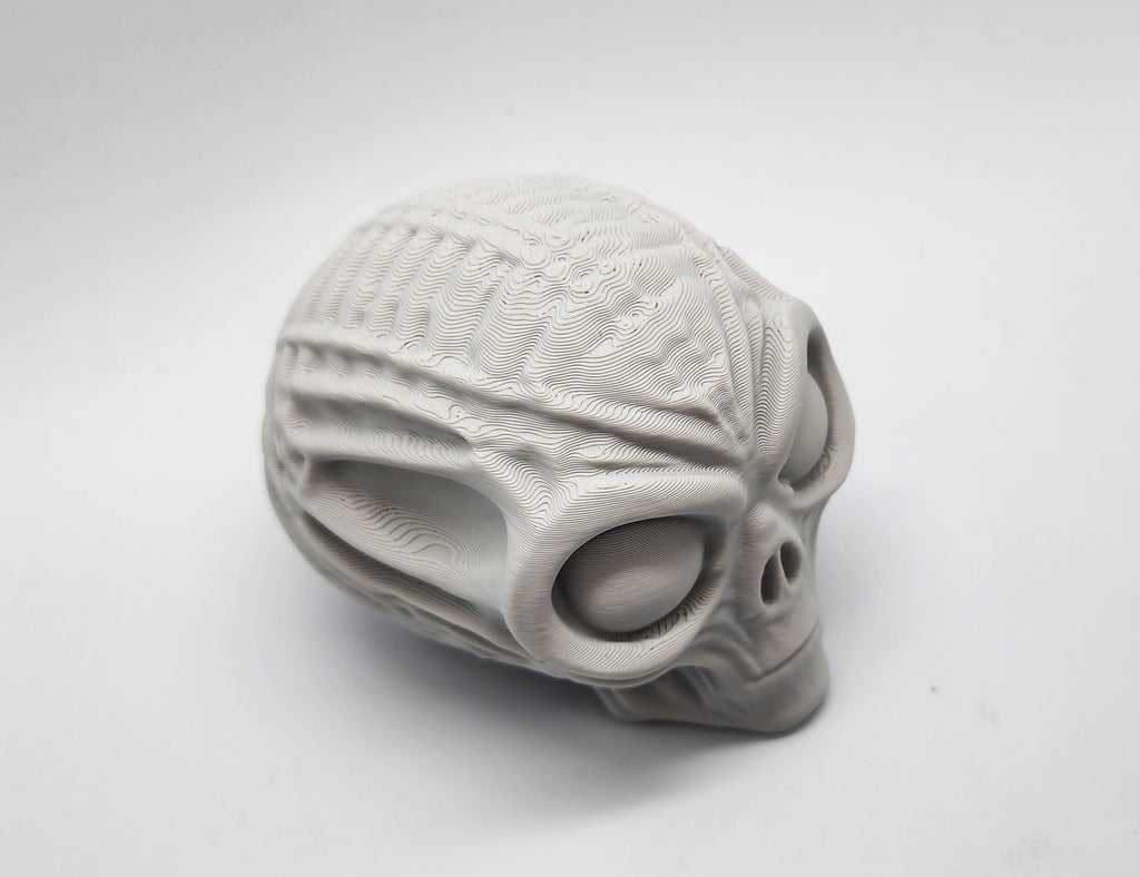 Mummified Alien Skull