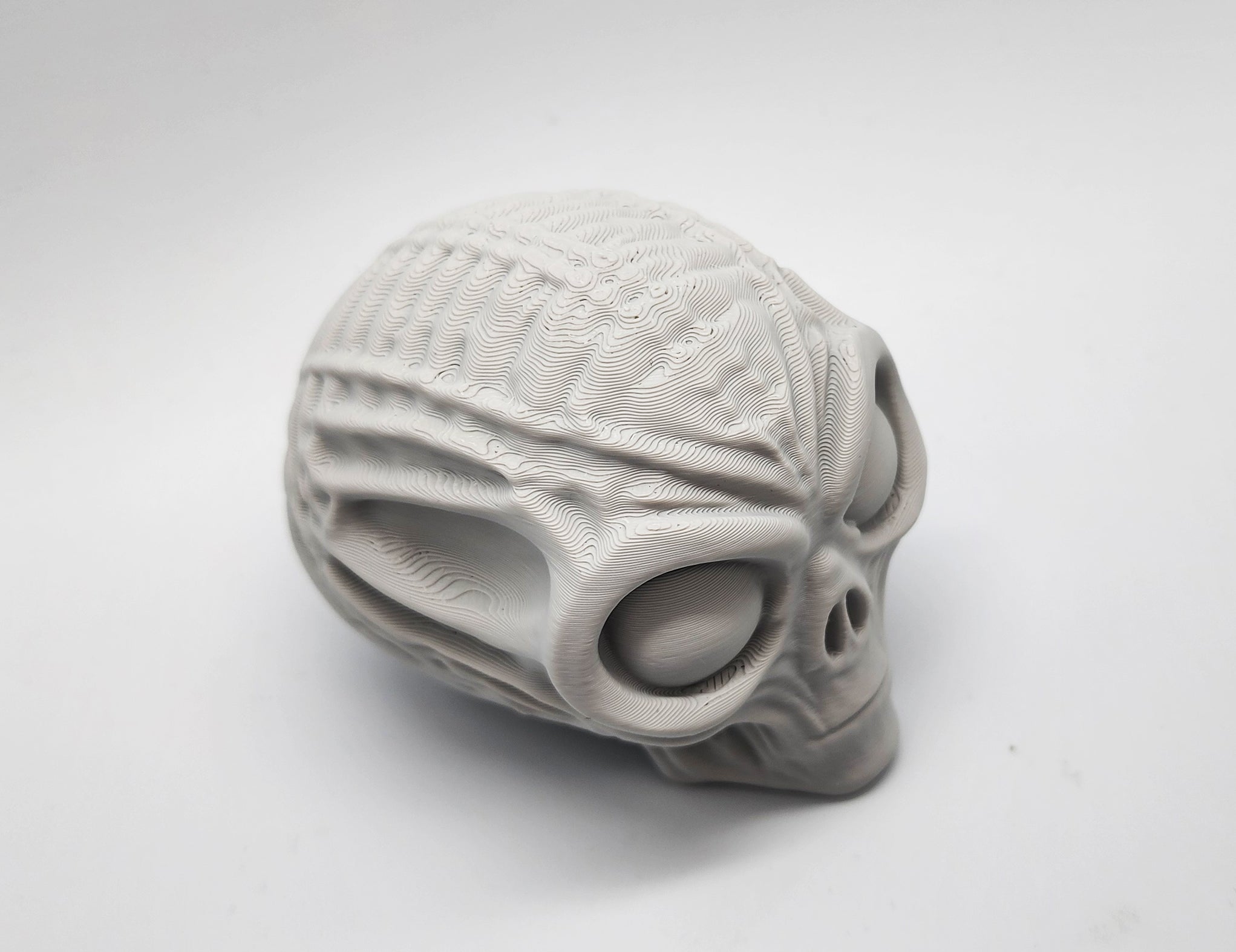 Mummified Alien Skull