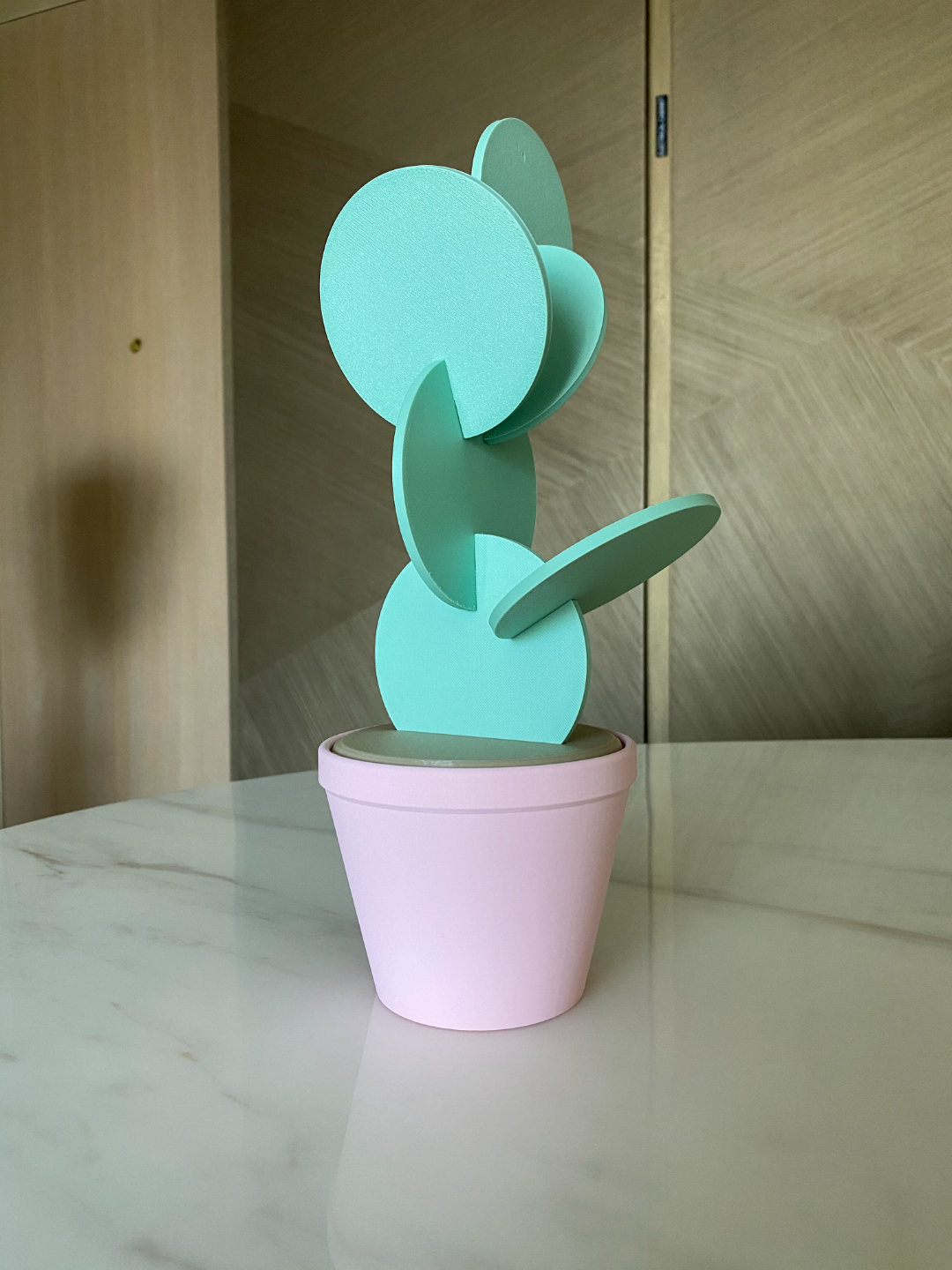 Cactus Plant Coaster