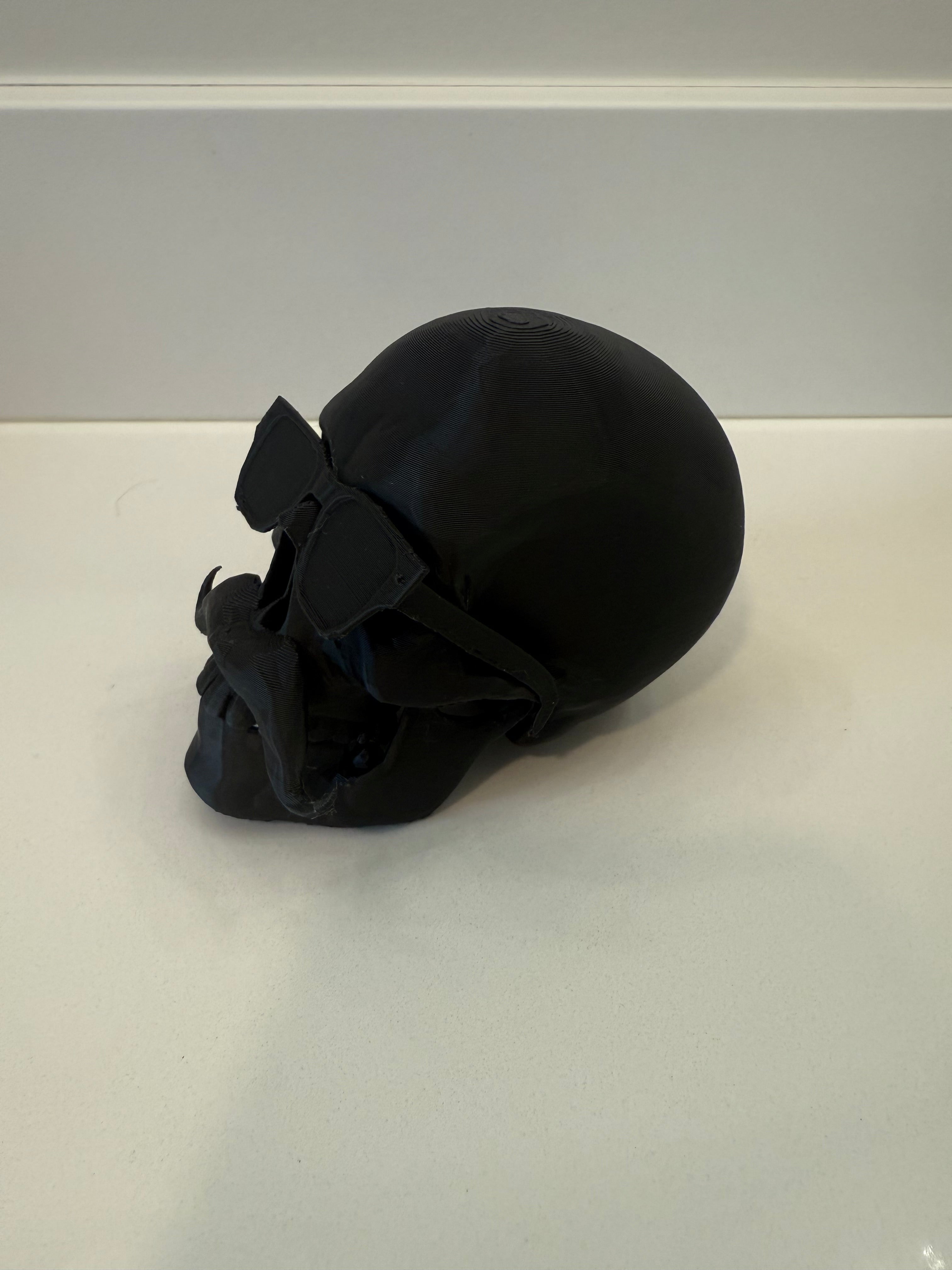 Skull with Mustache and Removable Sun Glasses