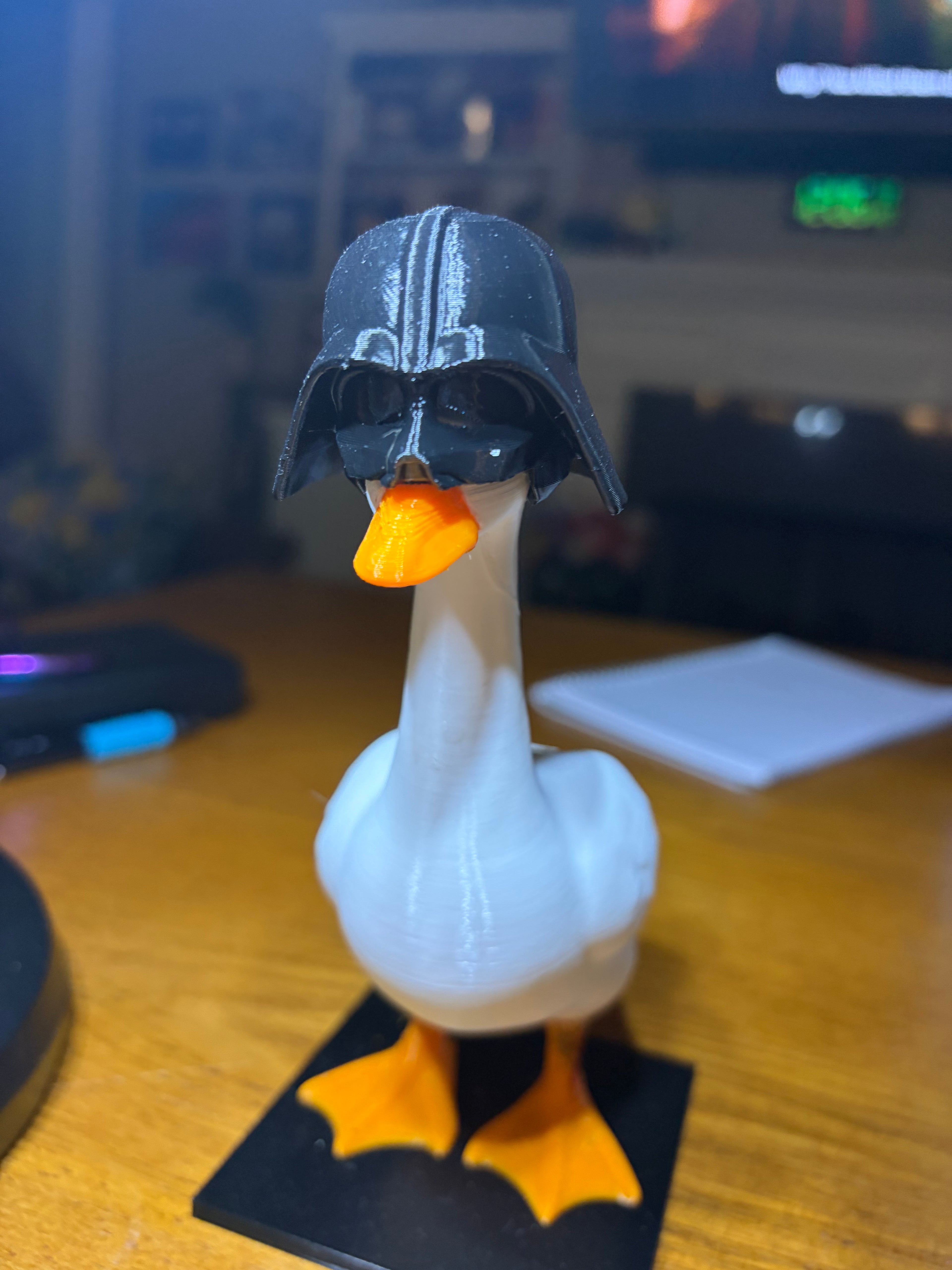 Helmet for Desk Goose