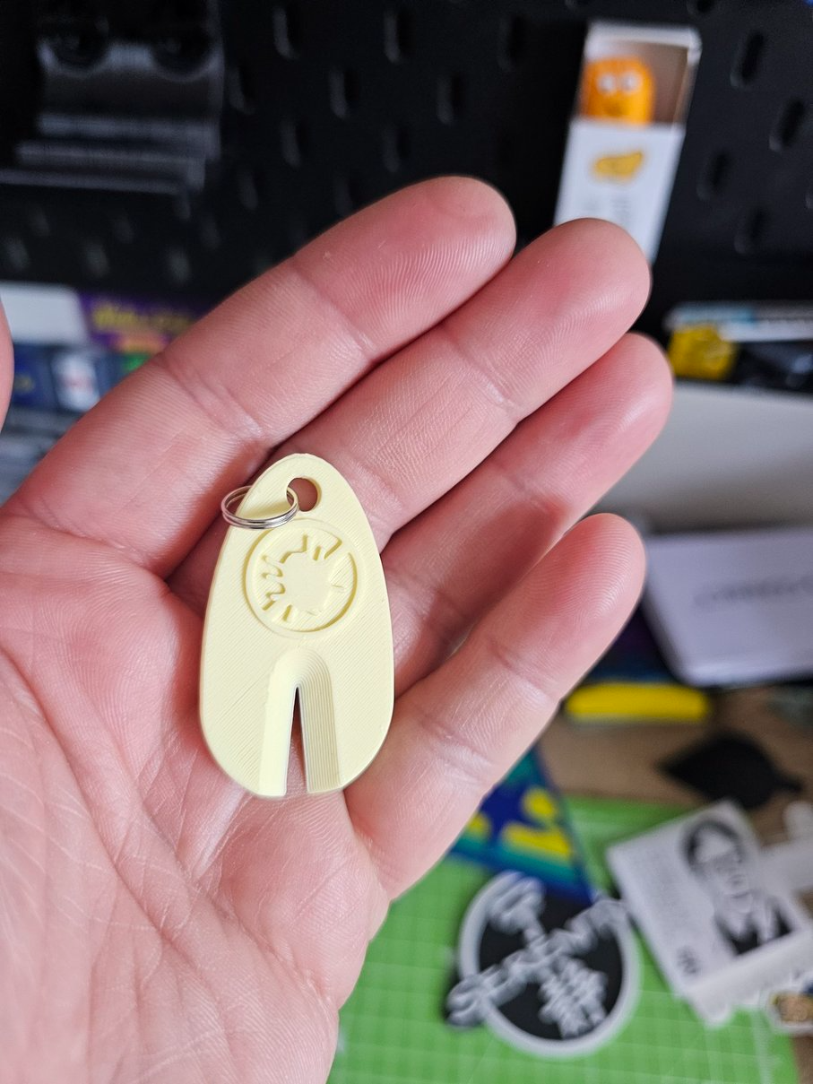 Tick removal keyring