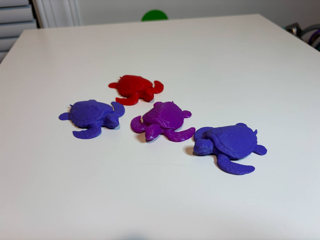Mini Turtle Free to Sell