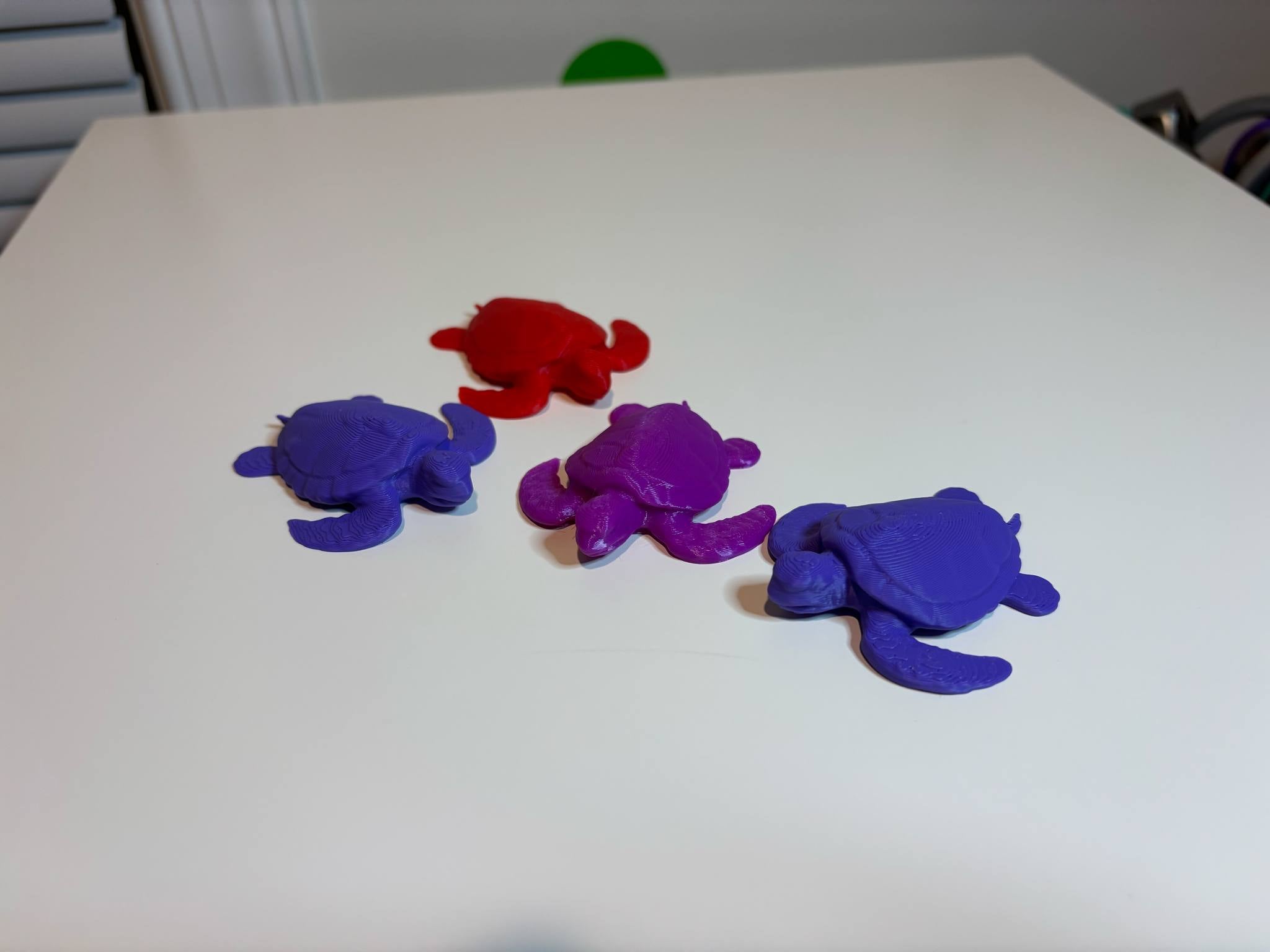 Mini Turtle Free to Sell