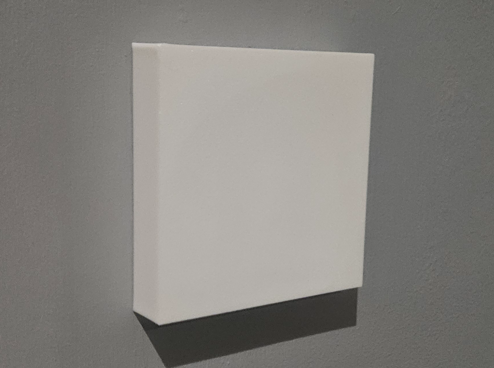 UK Single Light Switch Cover