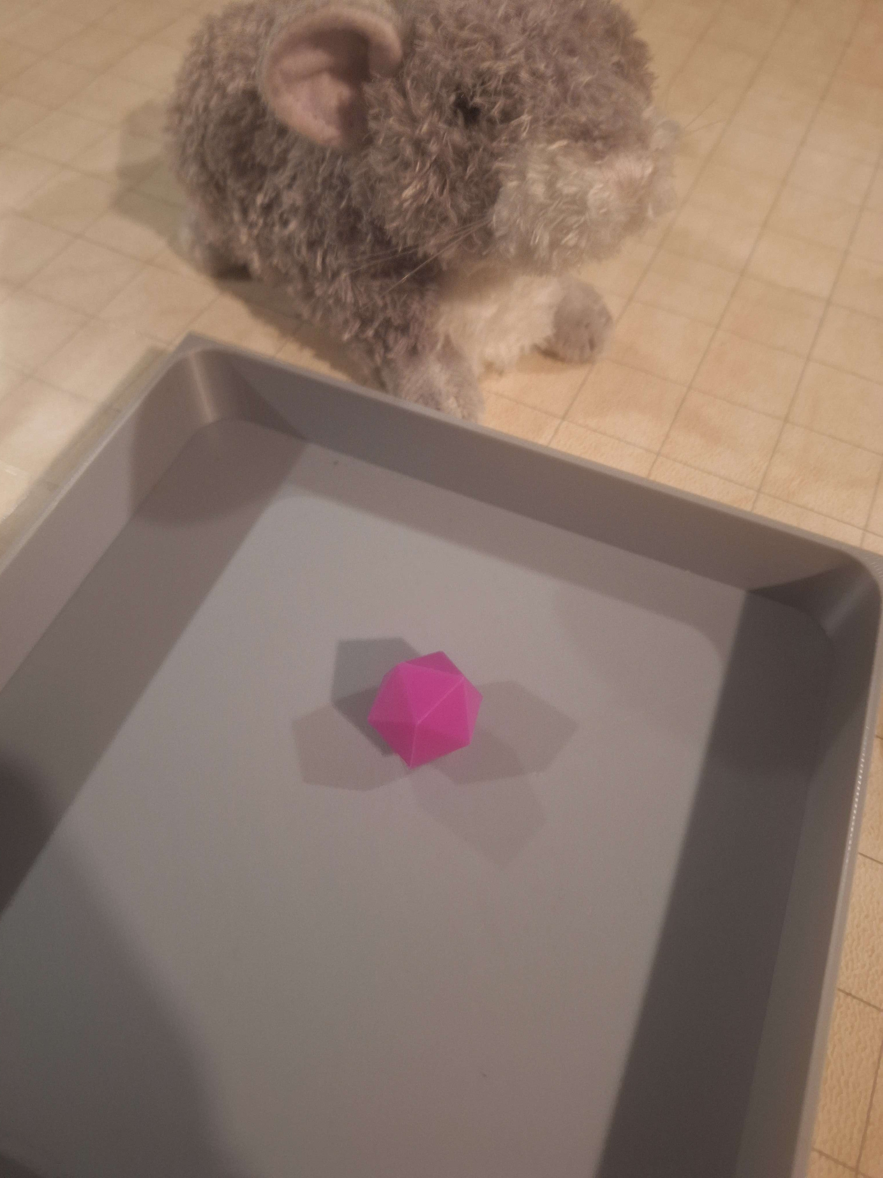 Blank 20 sided Die Icosahedron