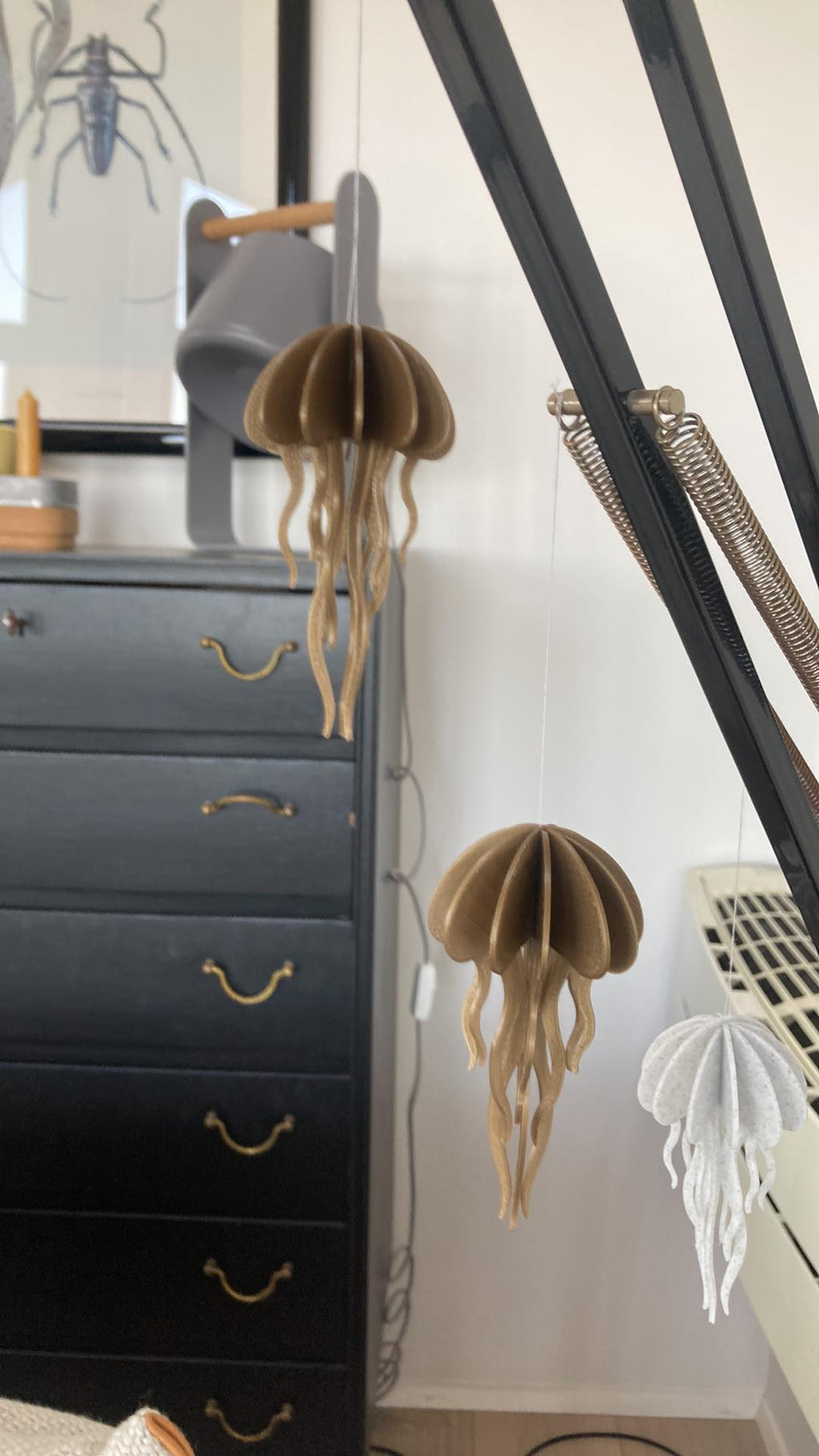 Jellyfish model