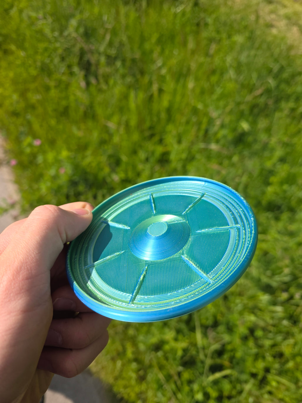 Water Frisbee – Flies & Splashes!