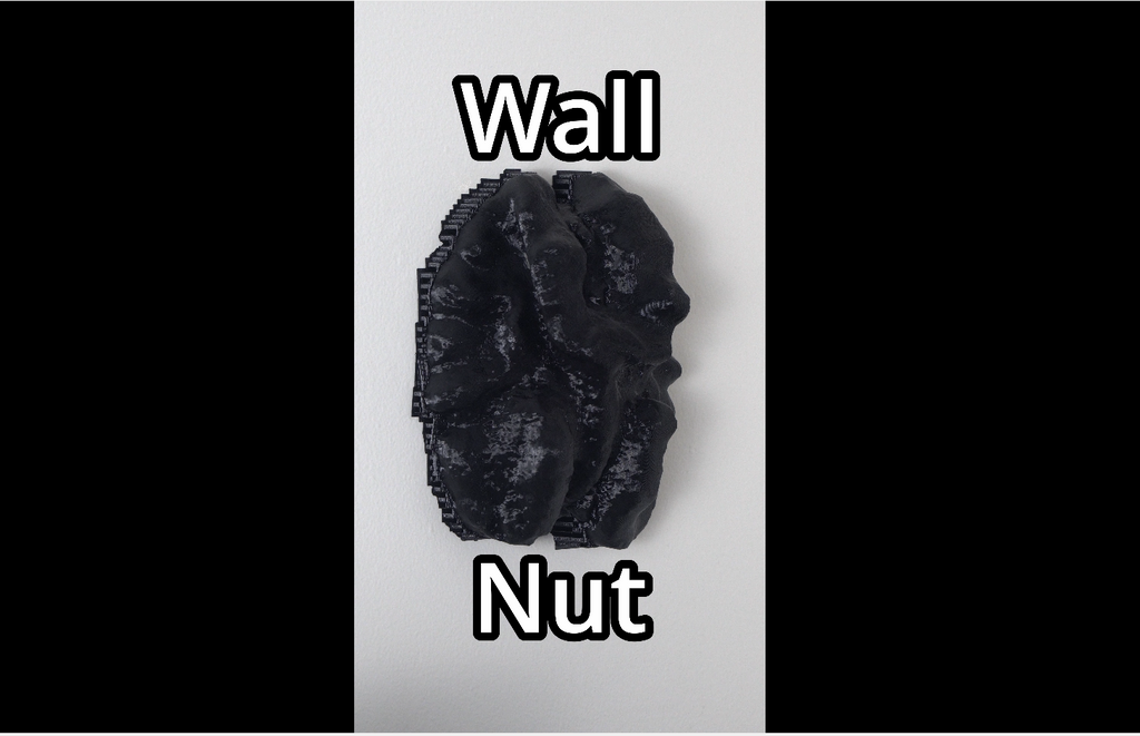 Wall Nut