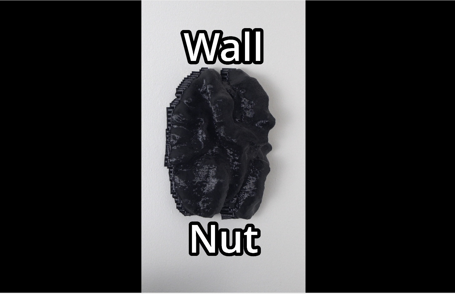 Wall Nut