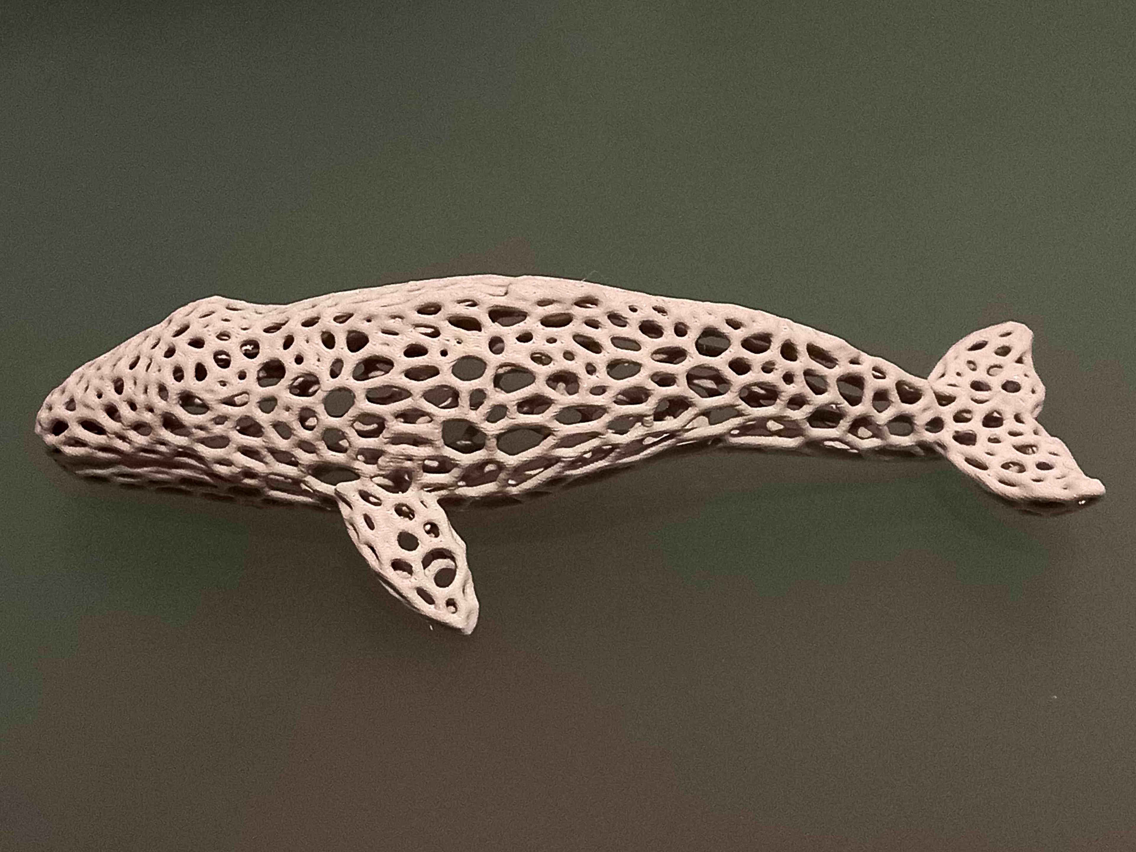 Gray Whale Voronoi