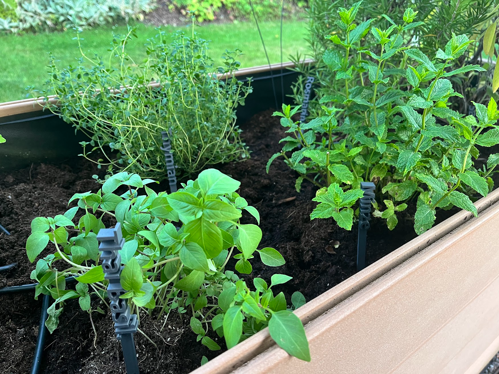 Pflanzenschilder Kräuterbeet