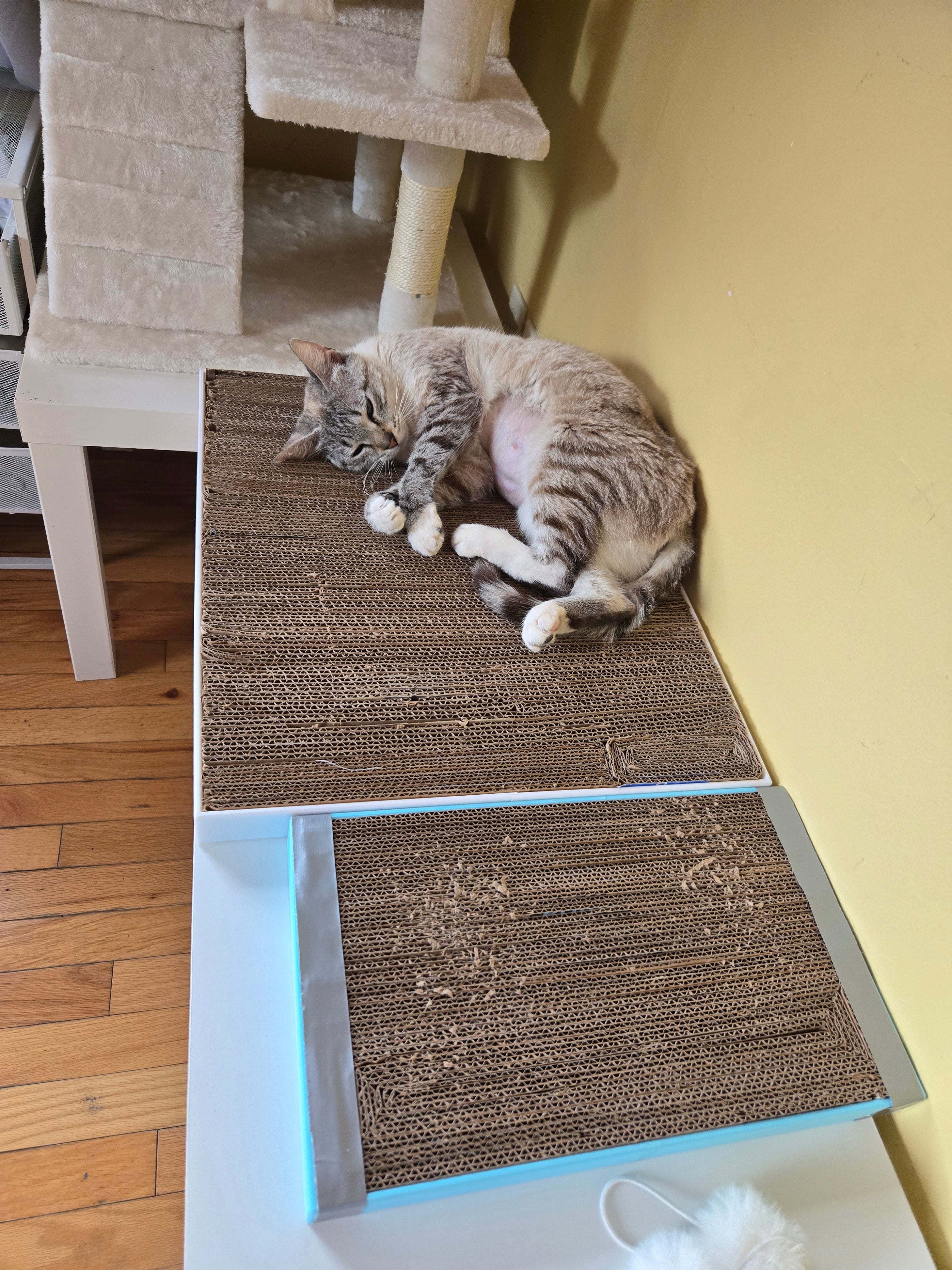 Cat Scratch Board Frame, Multi Size