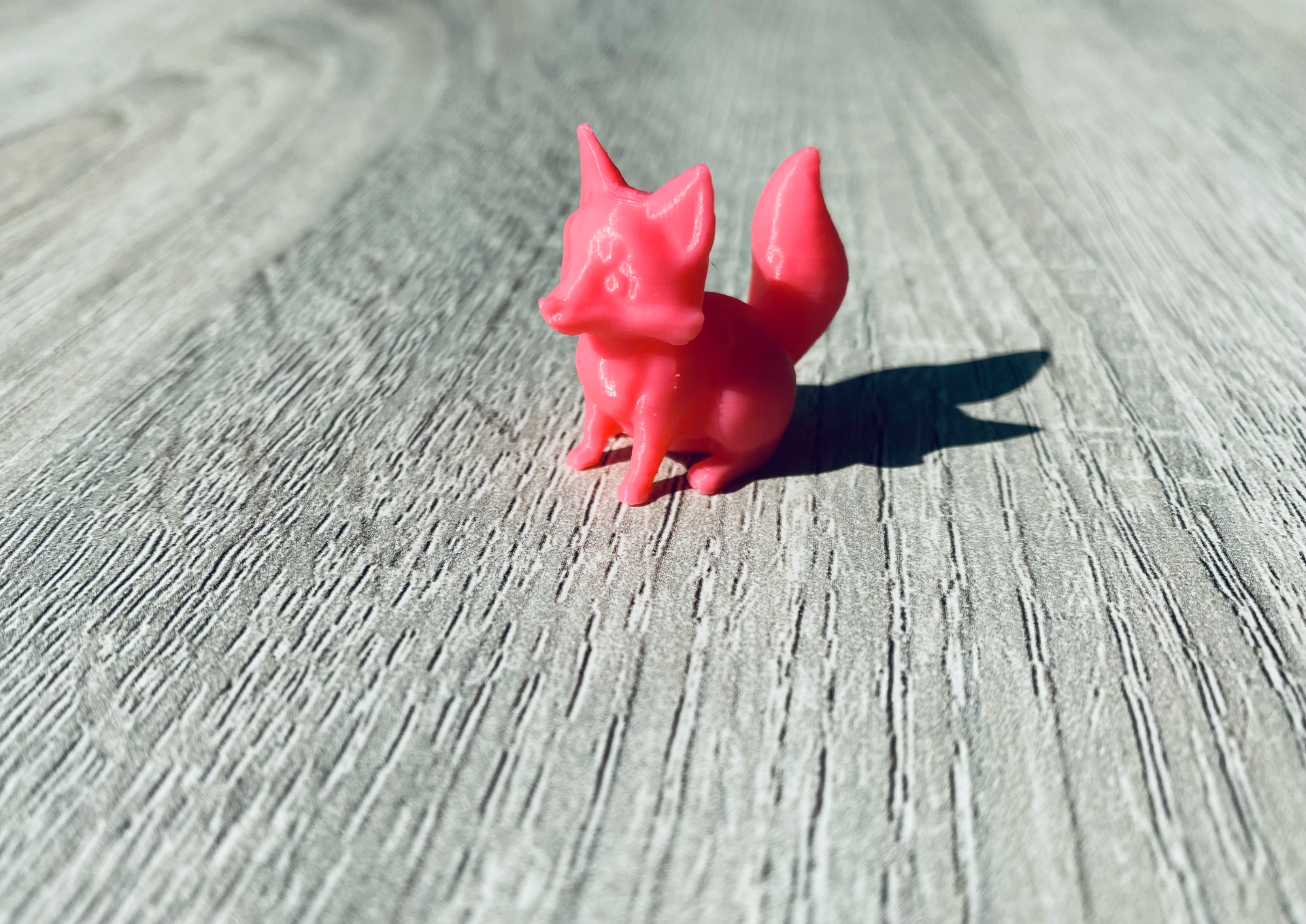 Little Fox Cub