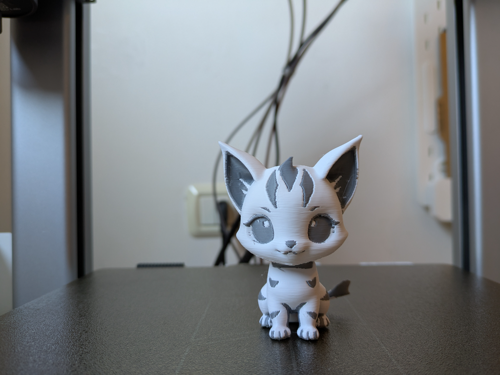 Cute zebrine kitten