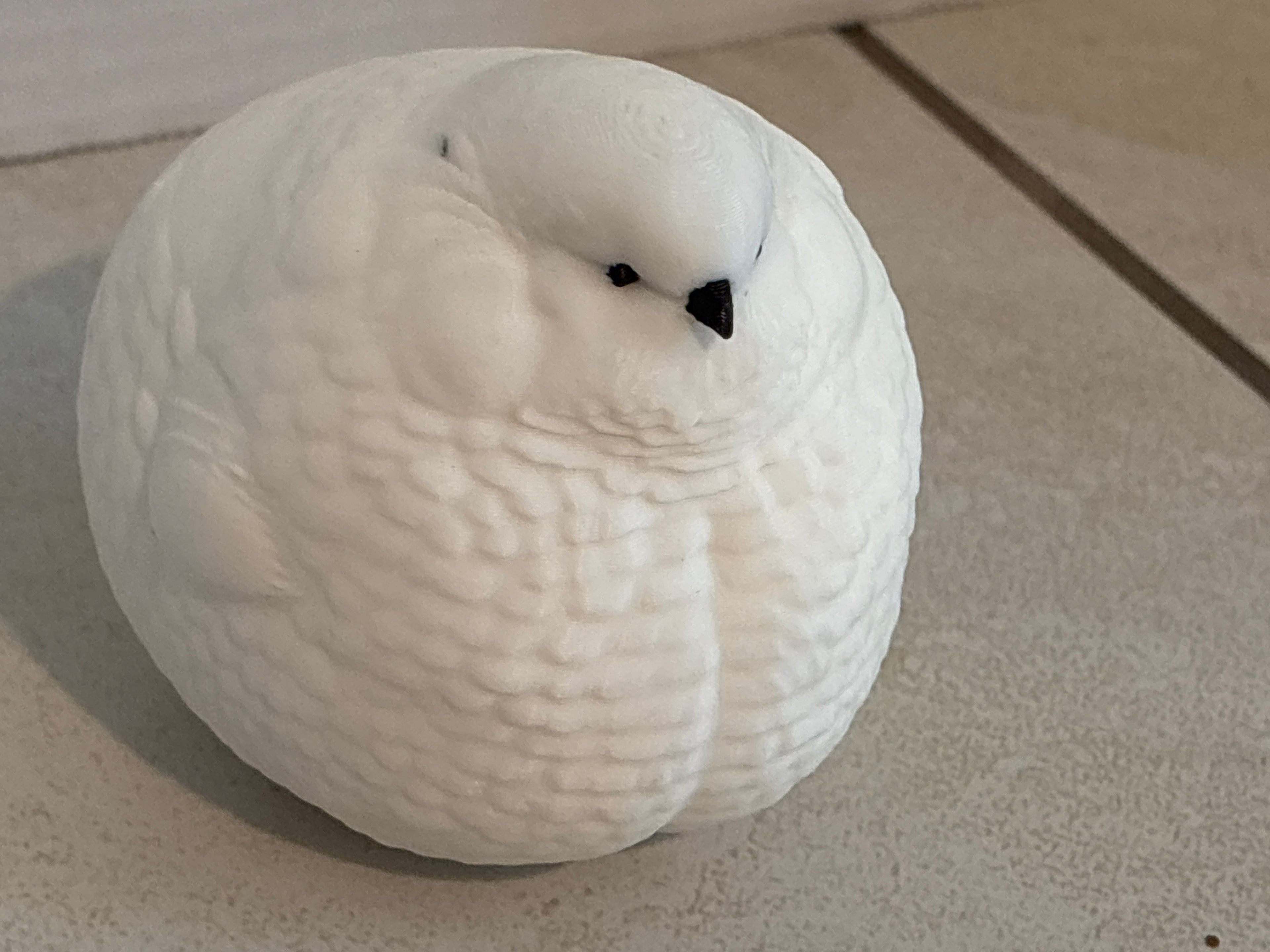 FAT Bird