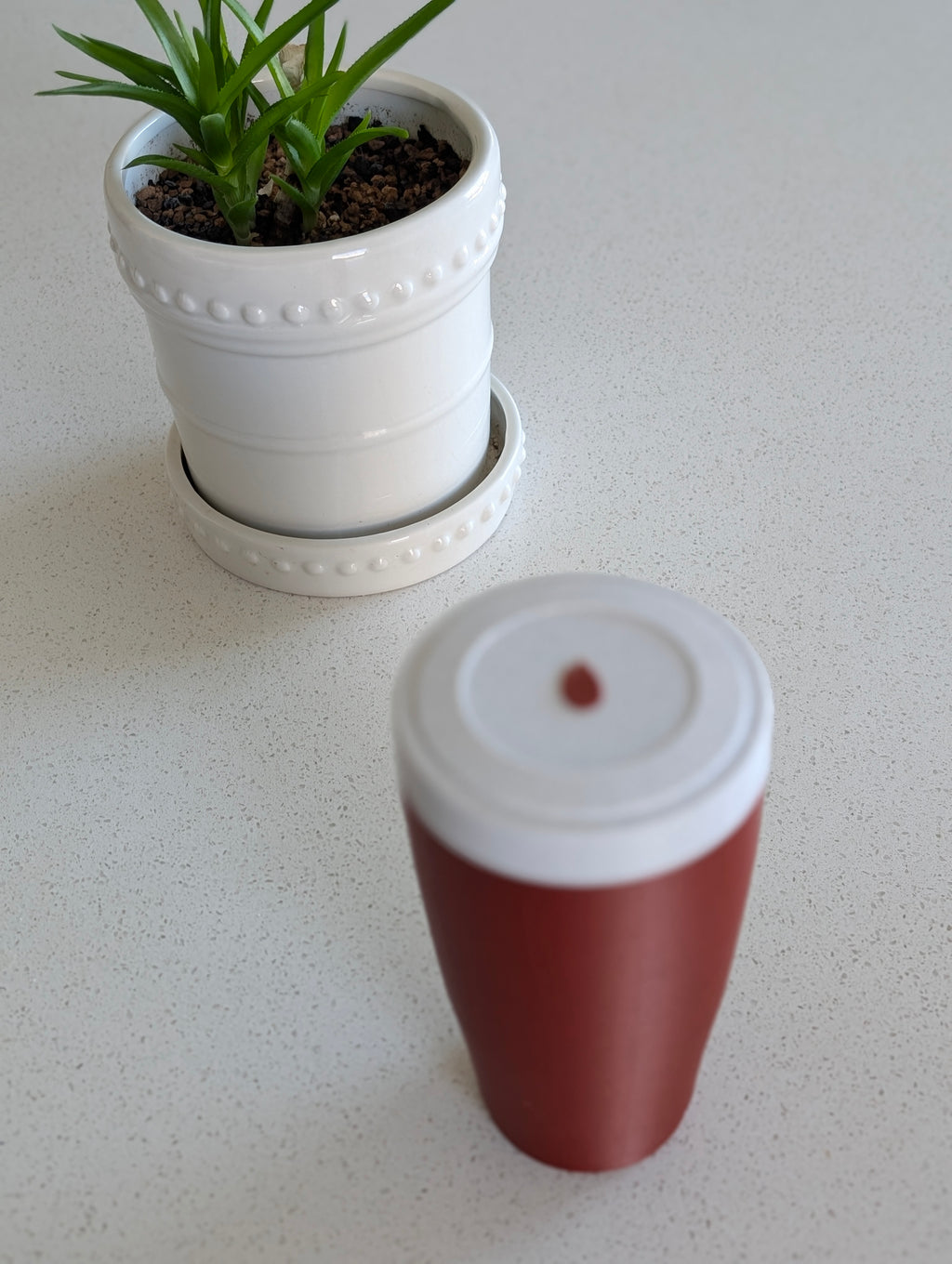 Sunflower Seed Cup