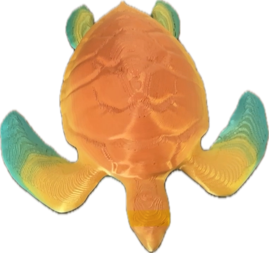 Turtle - public