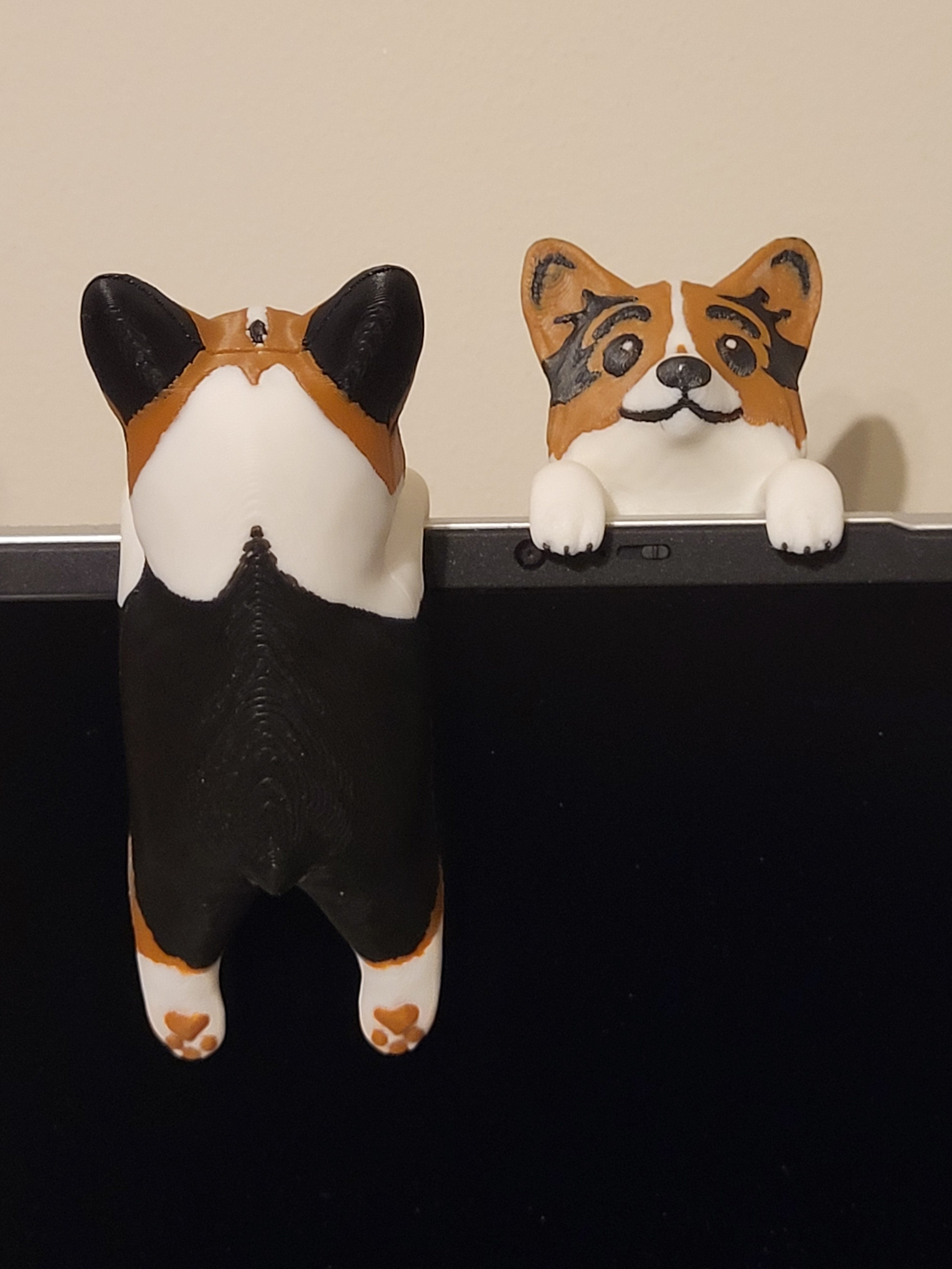 Logan - the Curious Corgi