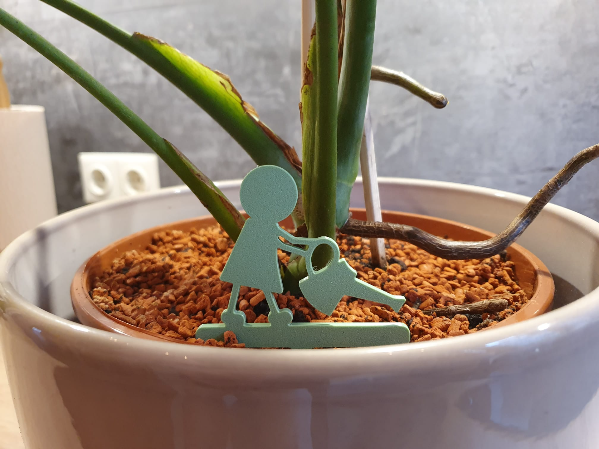 The Little Gardener - Flower and Plant Decoration
