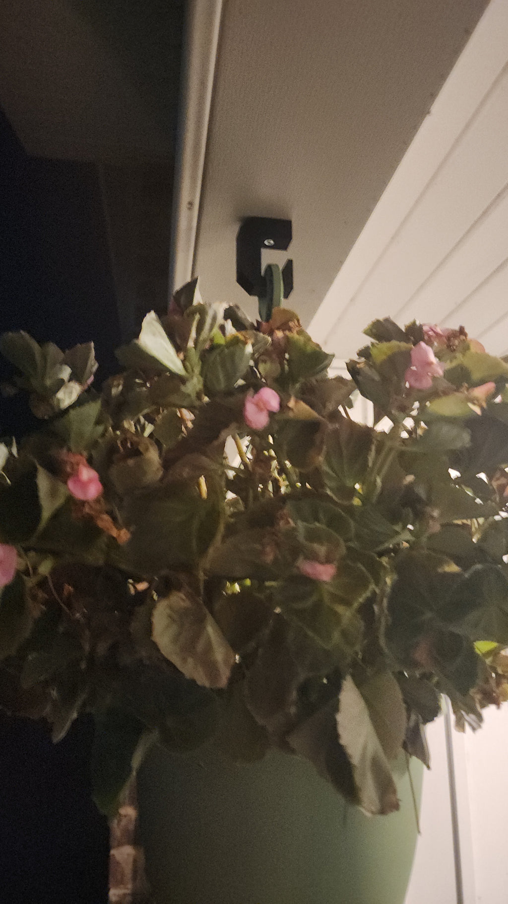 Indoor / Outdoor Hanging Plant Hook