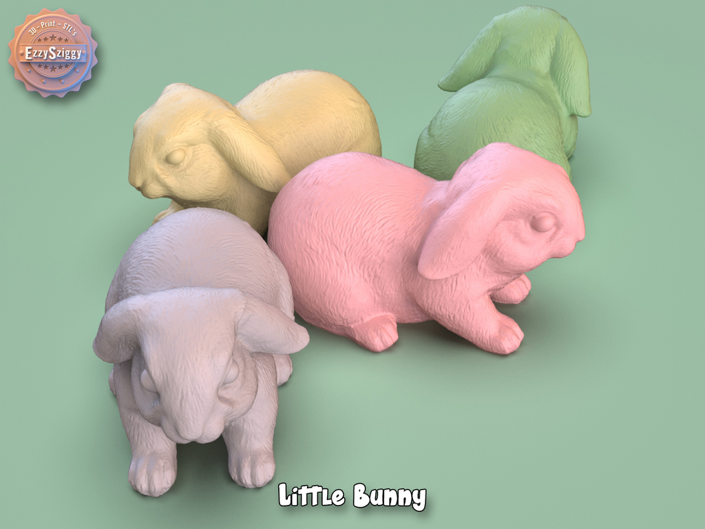 Little Bunny