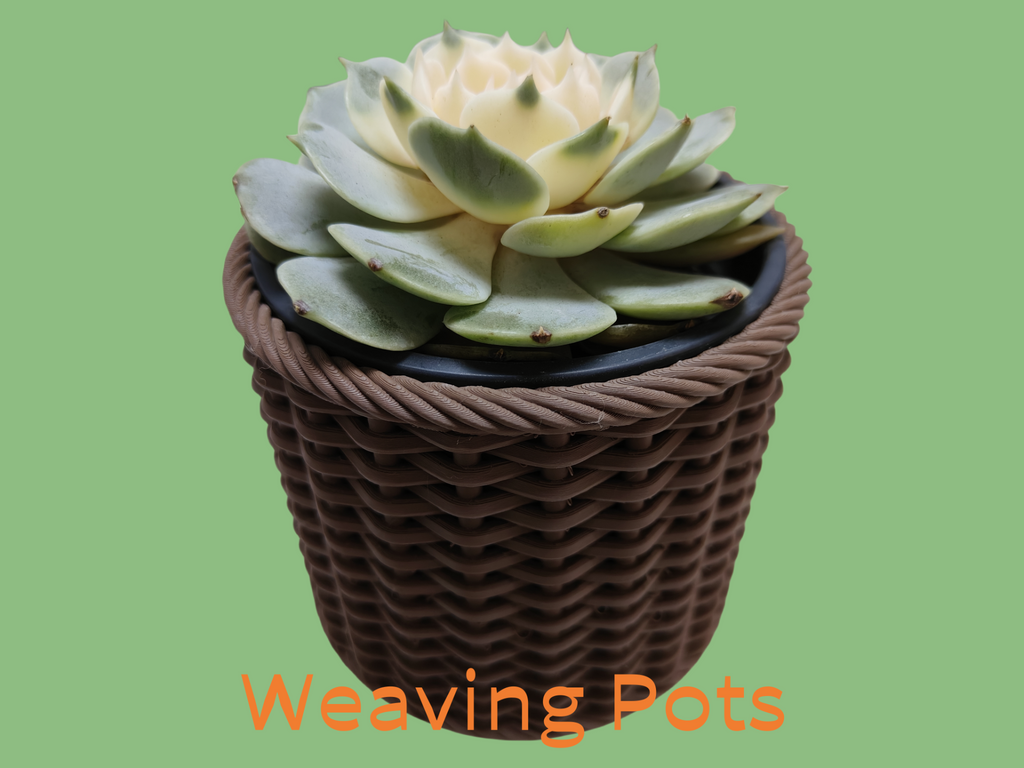 Weaving Pots