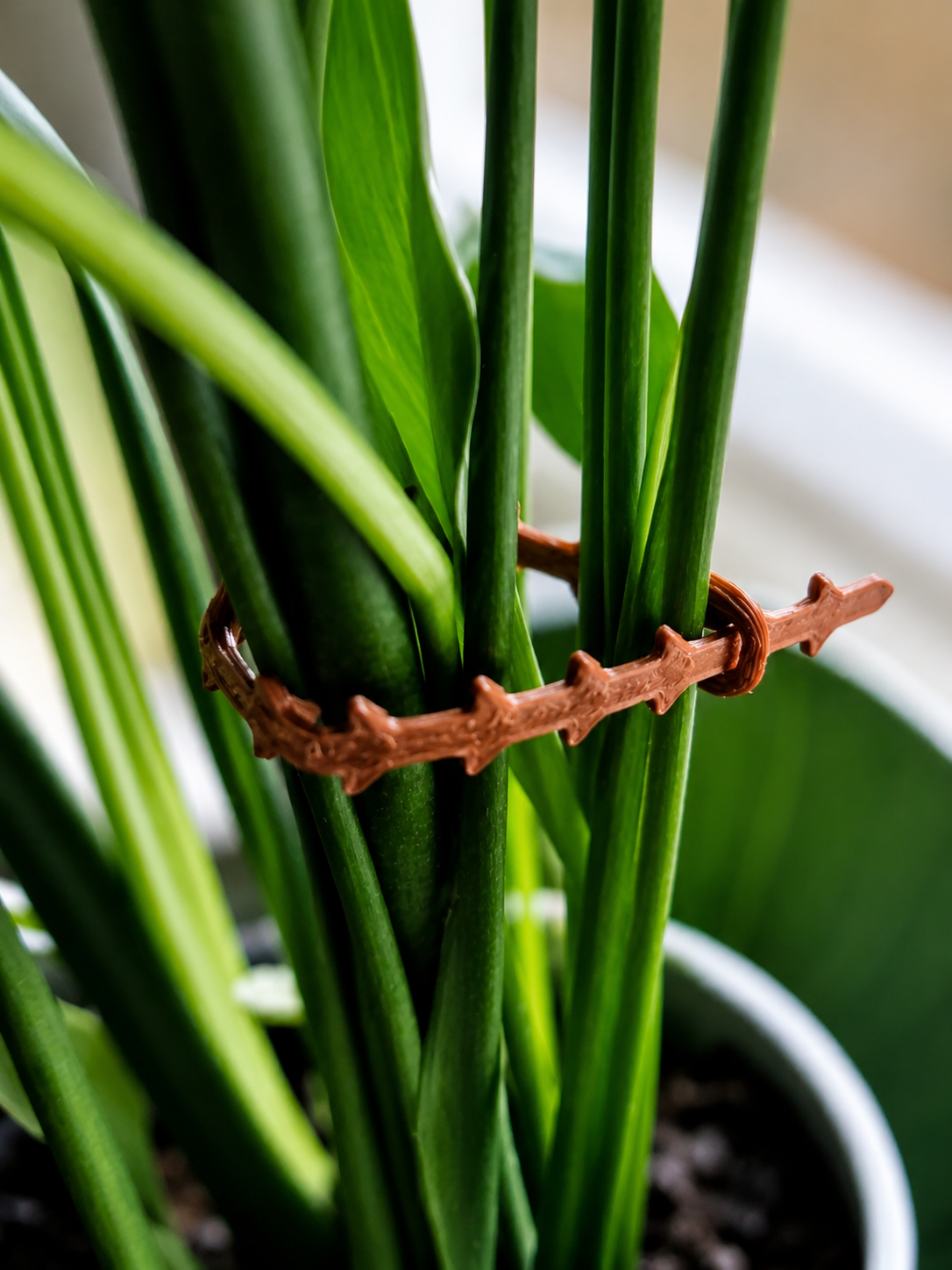 Plant Support